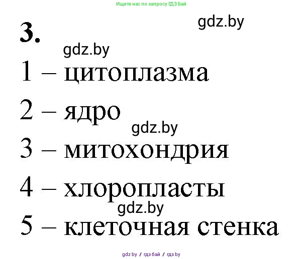 Биология, 7 класс рабочая тетрадь, автор: Лисов Николай Дмитриевич, издательство Аверсэв, Минск, 2022, коричневого цвета, страница 35, номер 3, Решение