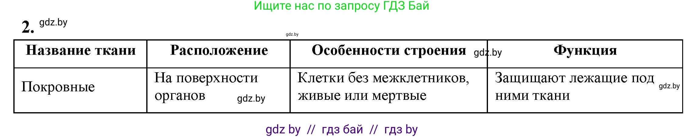 Биология, 7 класс рабочая тетрадь, автор: Лисов Николай Дмитриевич, издательство Аверсэв, Минск, 2022, коричневого цвета, страница 37, номер 2, Решение