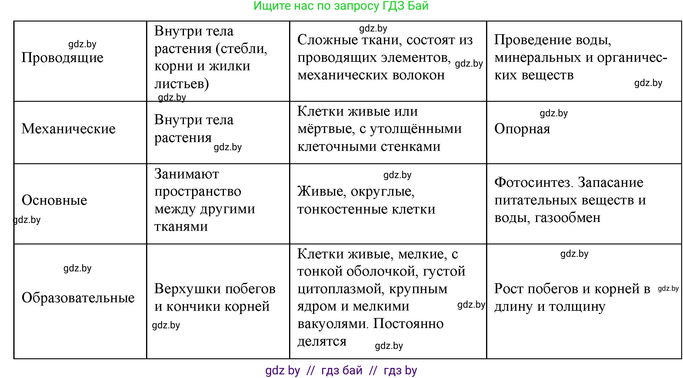 Биология, 7 класс рабочая тетрадь, автор: Лисов Николай Дмитриевич, издательство Аверсэв, Минск, 2022, коричневого цвета, страница 37, номер 2, Решение (продолжение 2)