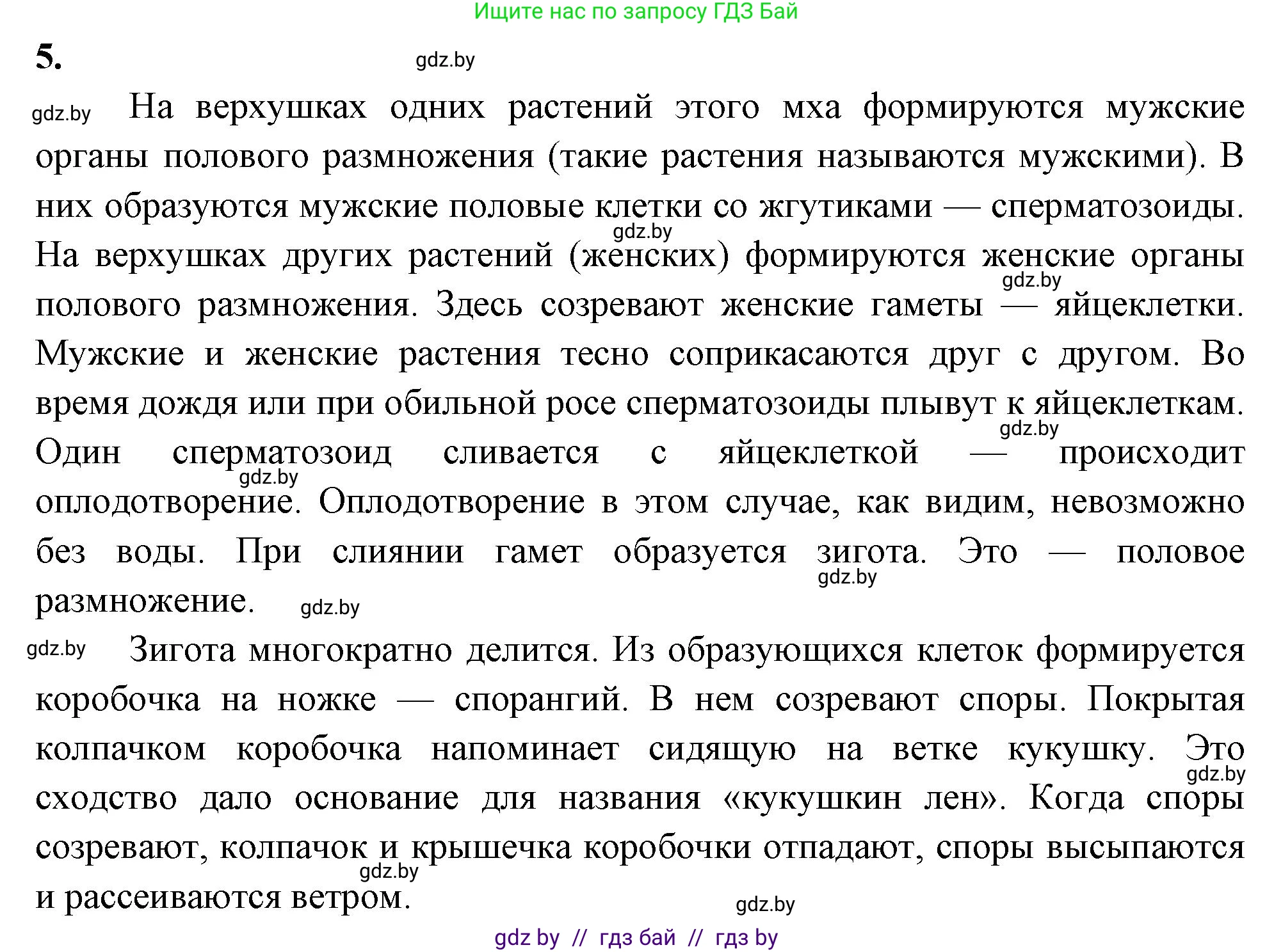 Биология, 7 класс рабочая тетрадь, автор: Лисов Николай Дмитриевич, издательство Аверсэв, Минск, 2022, коричневого цвета, страница 41, номер 5, Решение