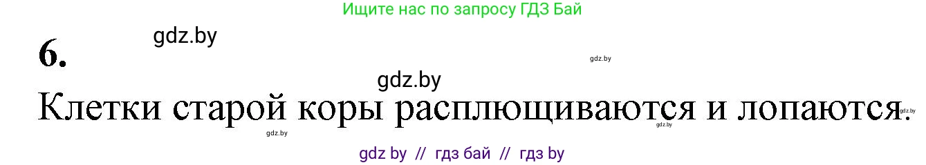 Биология, 7 класс рабочая тетрадь, автор: Лисов Николай Дмитриевич, издательство Аверсэв, Минск, 2022, коричневого цвета, страница 50, номер 6, Решение