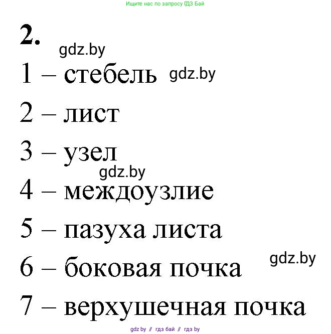 Биология, 7 класс рабочая тетрадь, автор: Лисов Николай Дмитриевич, издательство Аверсэв, Минск, 2022, коричневого цвета, страница 60, номер 2, Решение