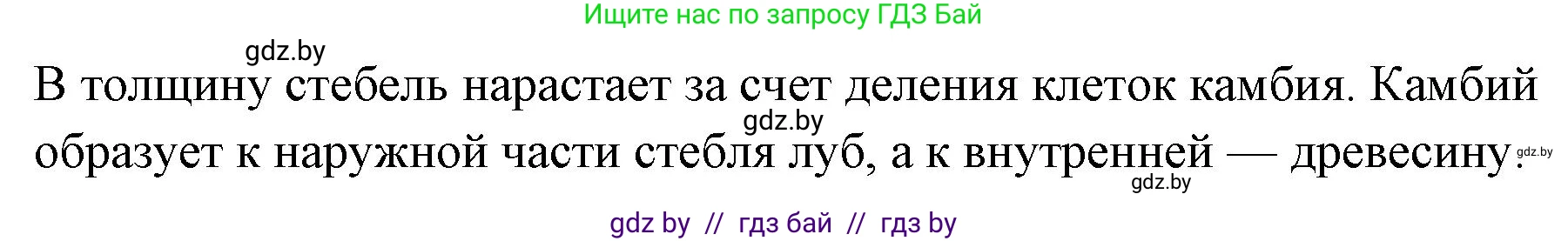 Биология, 7 класс рабочая тетрадь, автор: Лисов Николай Дмитриевич, издательство Аверсэв, Минск, 2022, коричневого цвета, страница 62, номер 6, Решение