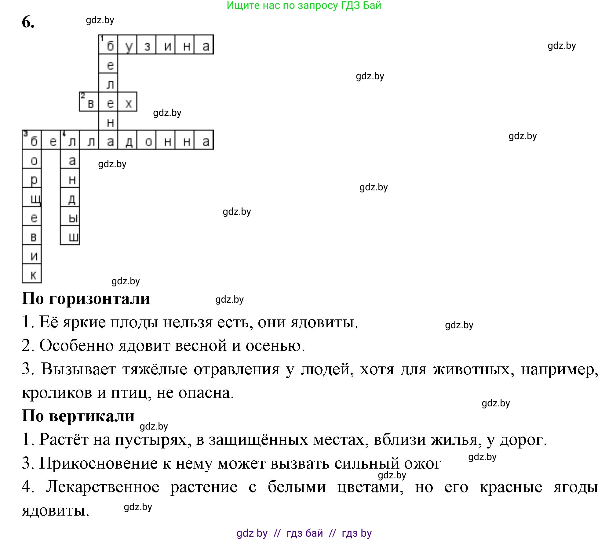 Биология, 7 класс рабочая тетрадь, автор: Лисов Николай Дмитриевич, издательство Аверсэв, Минск, 2022, коричневого цвета, страница 90, номер 6, Решение