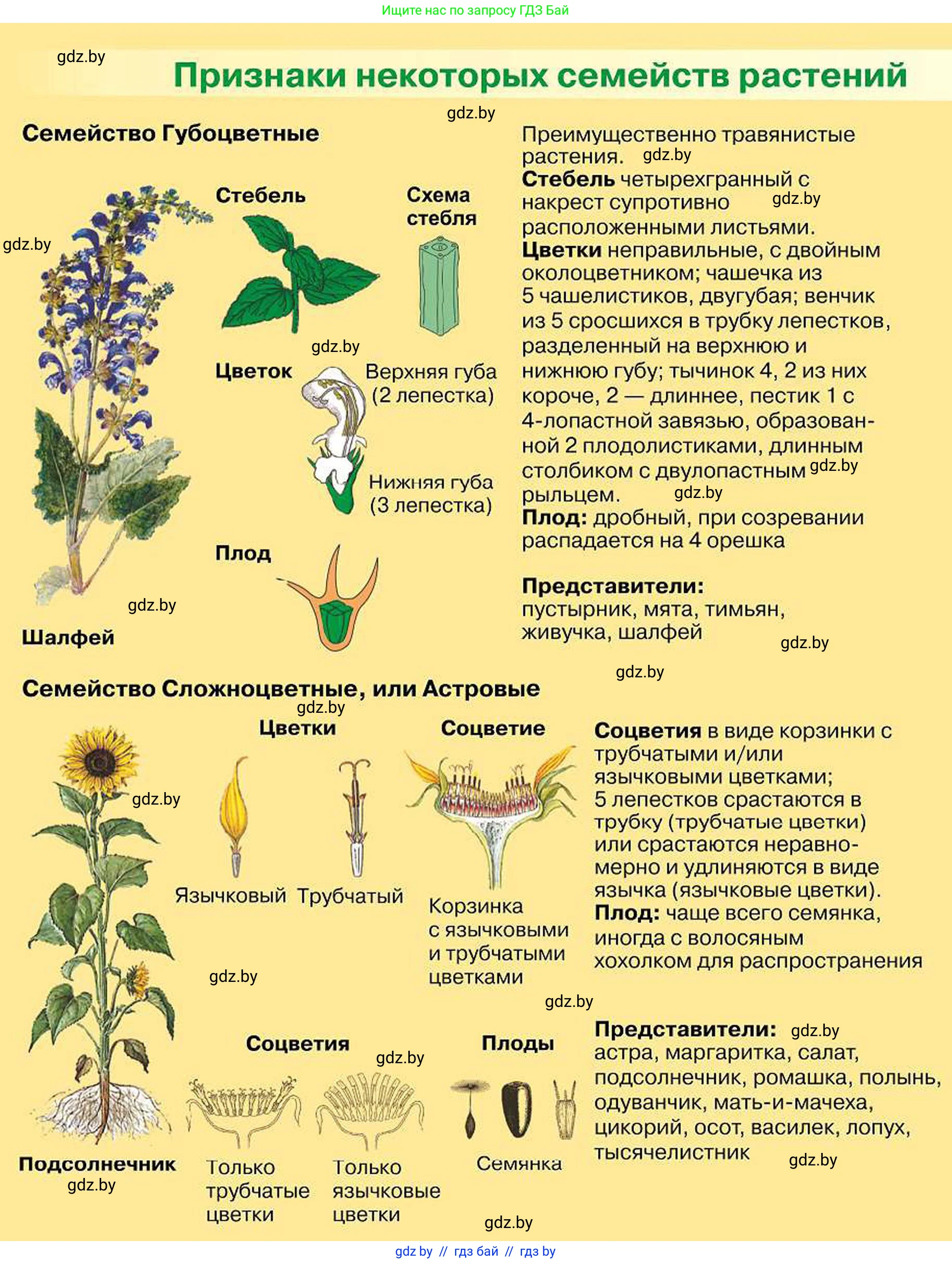 Биология, 7 класс Учебник, автор: Лисов Николай Дмитриевич, издательство Народная асвета, Минск, 2022, зелёного цвета, 
