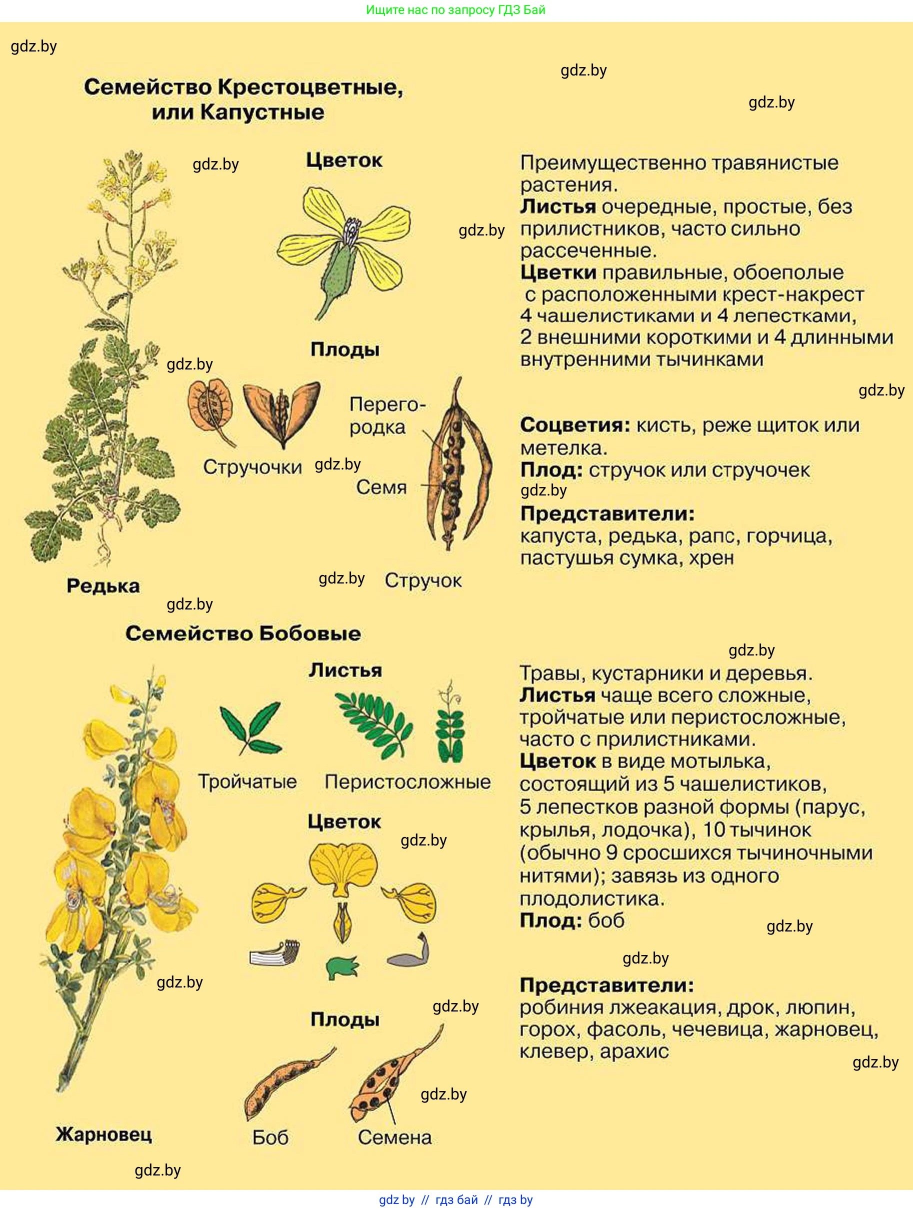 Биология, 7 класс Учебник, автор: Лисов Николай Дмитриевич, издательство Народная асвета, Минск, 2022, зелёного цвета, 