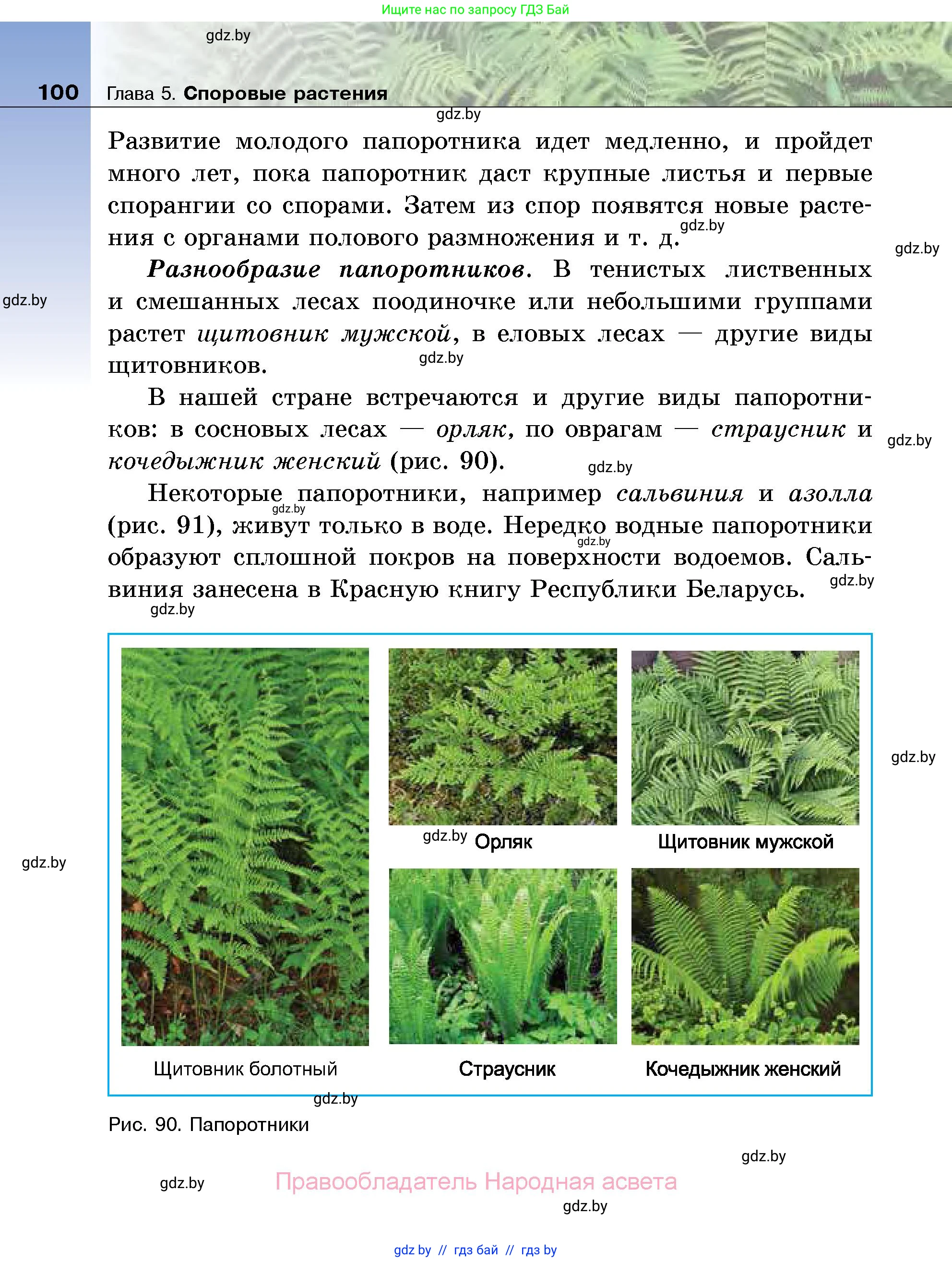 Биология, 7 класс Учебник, автор: Лисов Николай Дмитриевич, издательство Народная асвета, Минск, 2022, зелёного цвета, страница 100