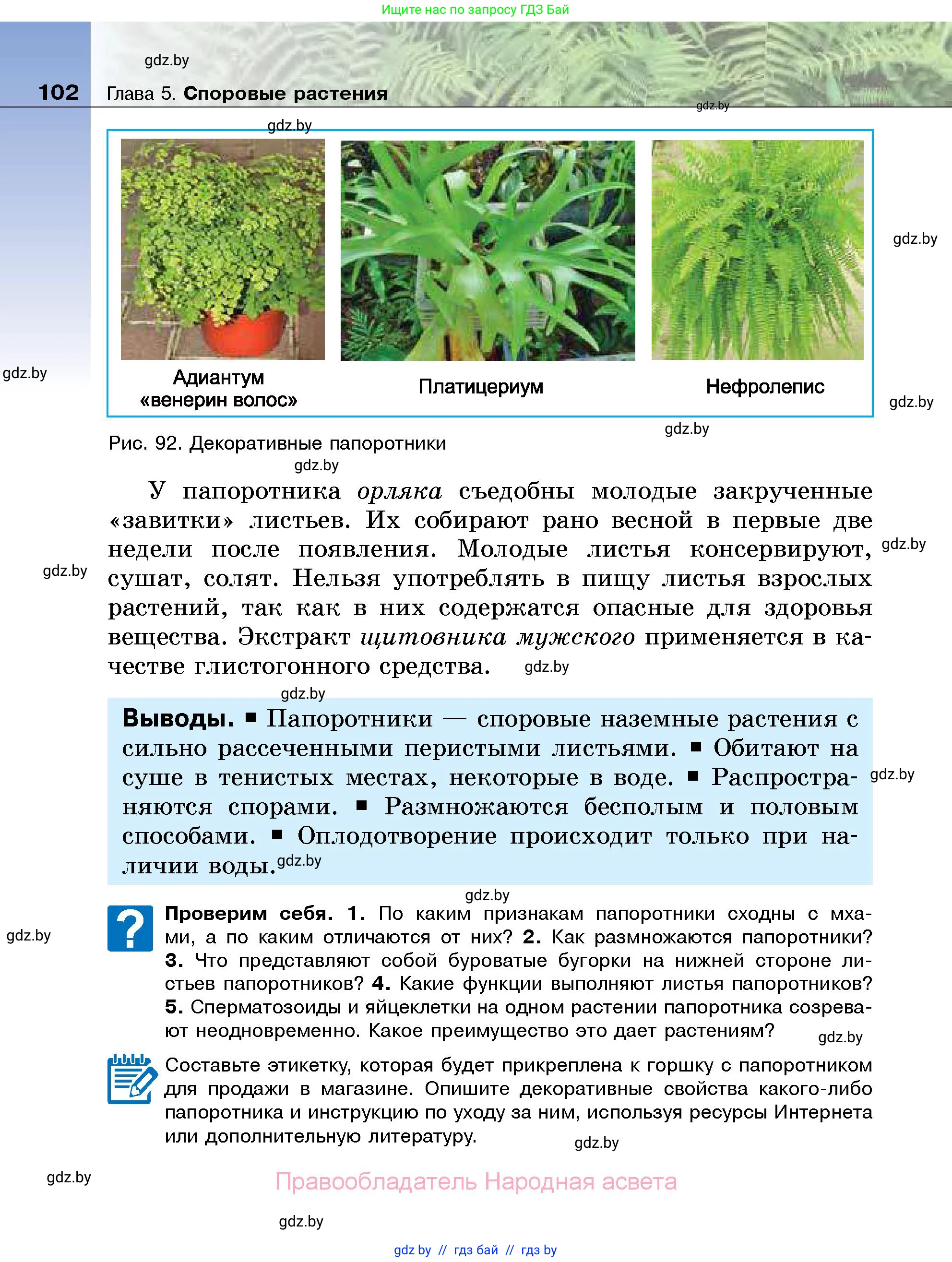 Биология, 7 класс Учебник, автор: Лисов Николай Дмитриевич, издательство Народная асвета, Минск, 2022, зелёного цвета, страница 102