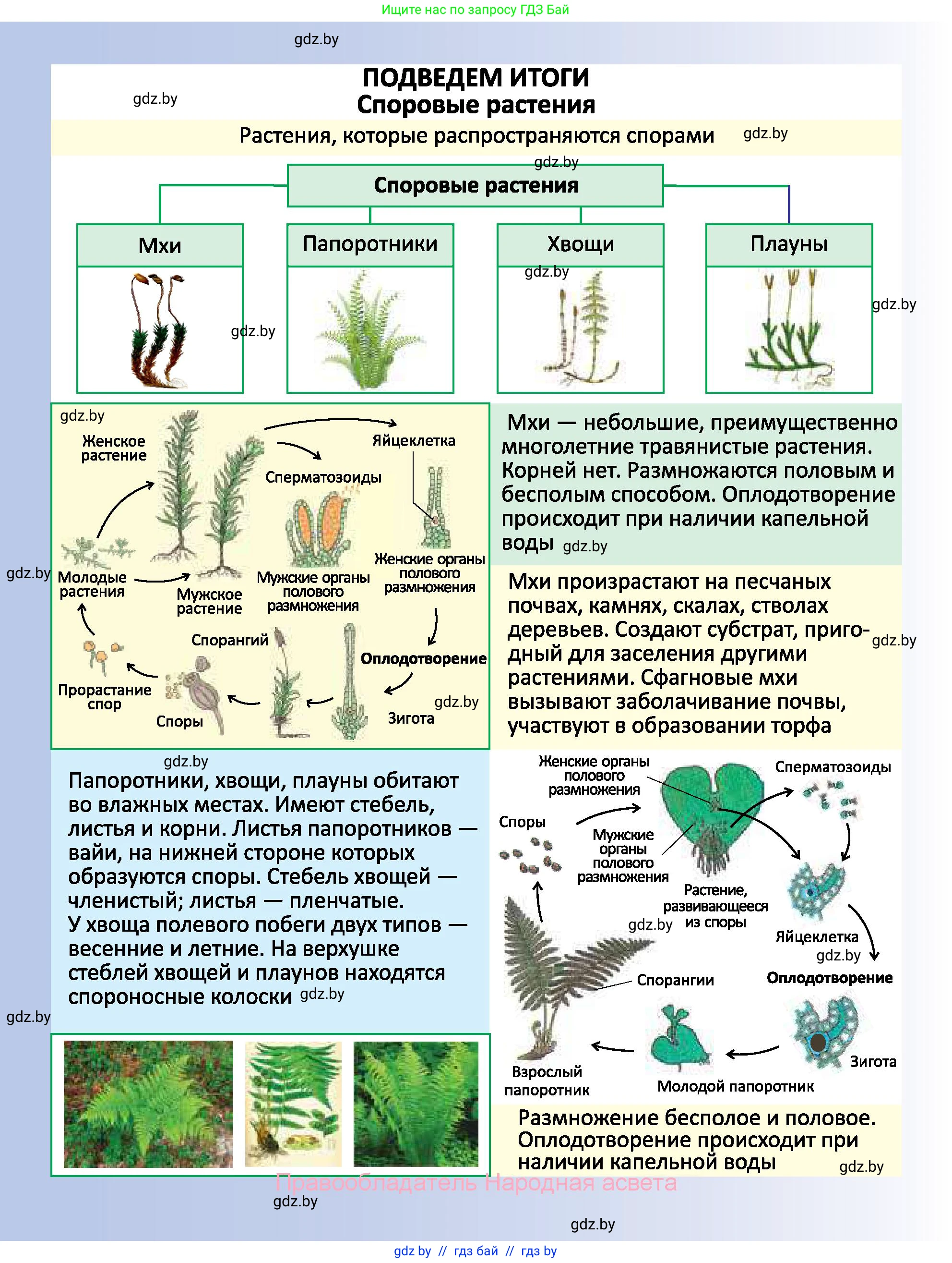 Биология, 7 класс Учебник, автор: Лисов Николай Дмитриевич, издательство Народная асвета, Минск, 2022, зелёного цвета, страница 108