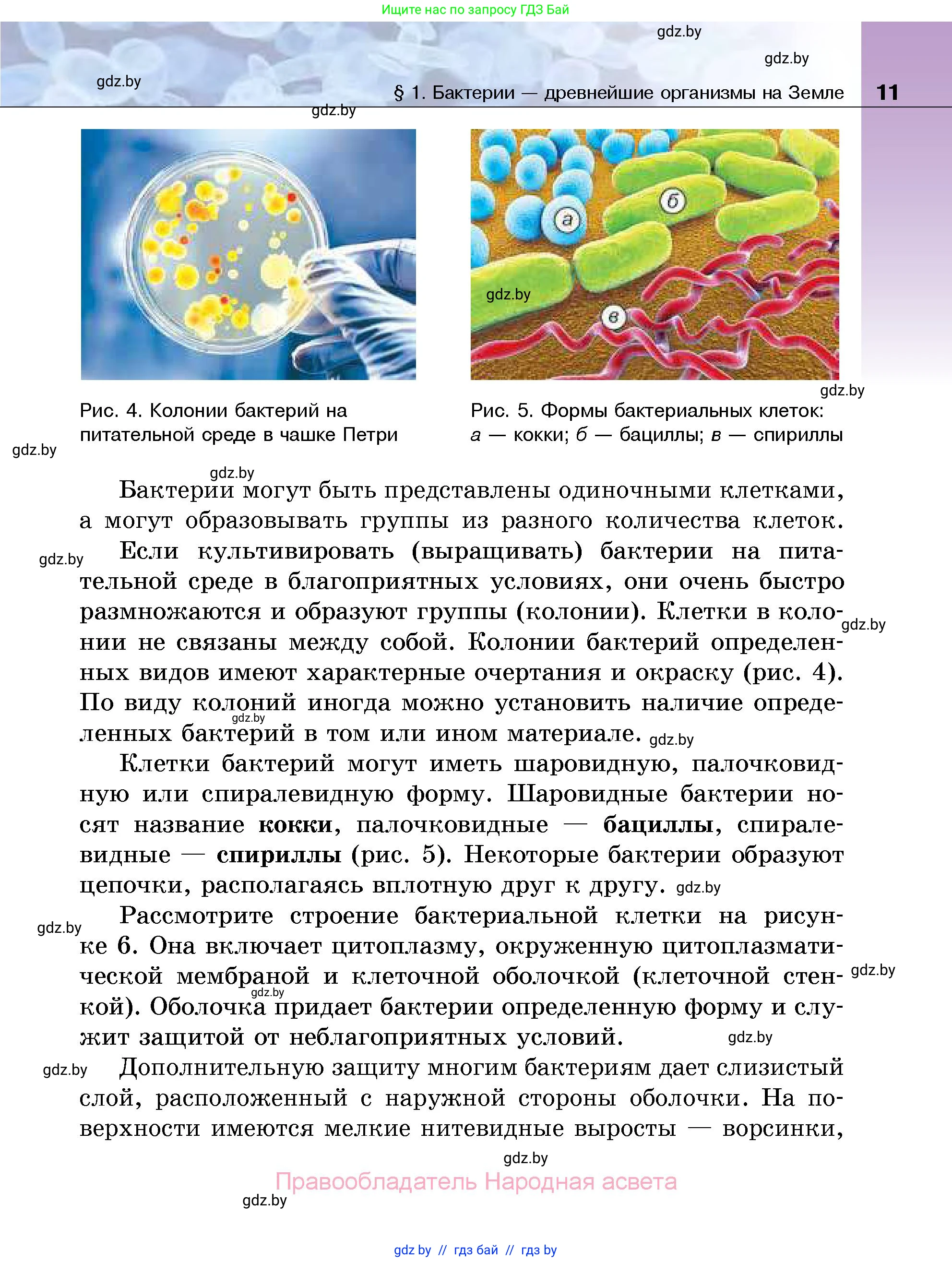 Биология, 7 класс Учебник, автор: Лисов Николай Дмитриевич, издательство Народная асвета, Минск, 2022, зелёного цвета, страница 11