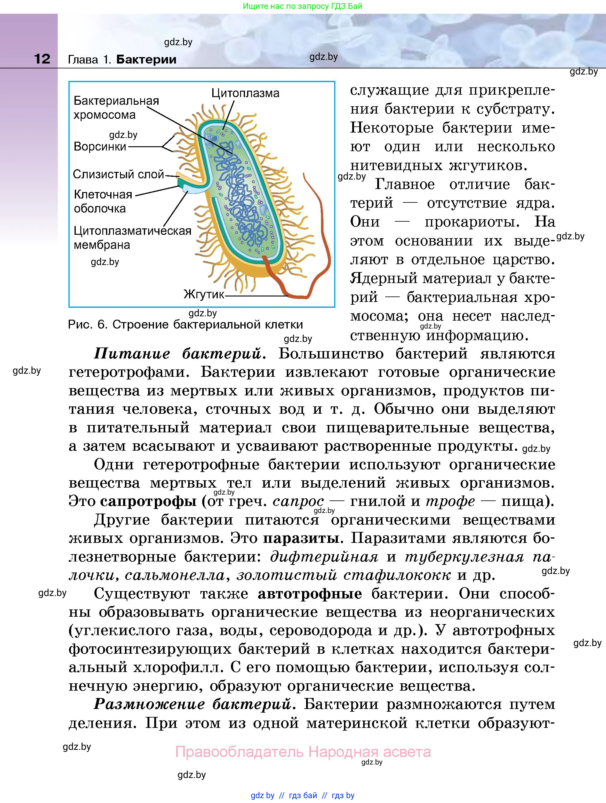 Биология, 7 класс Учебник, автор: Лисов Николай Дмитриевич, издательство Народная асвета, Минск, 2022, зелёного цвета, страница 12