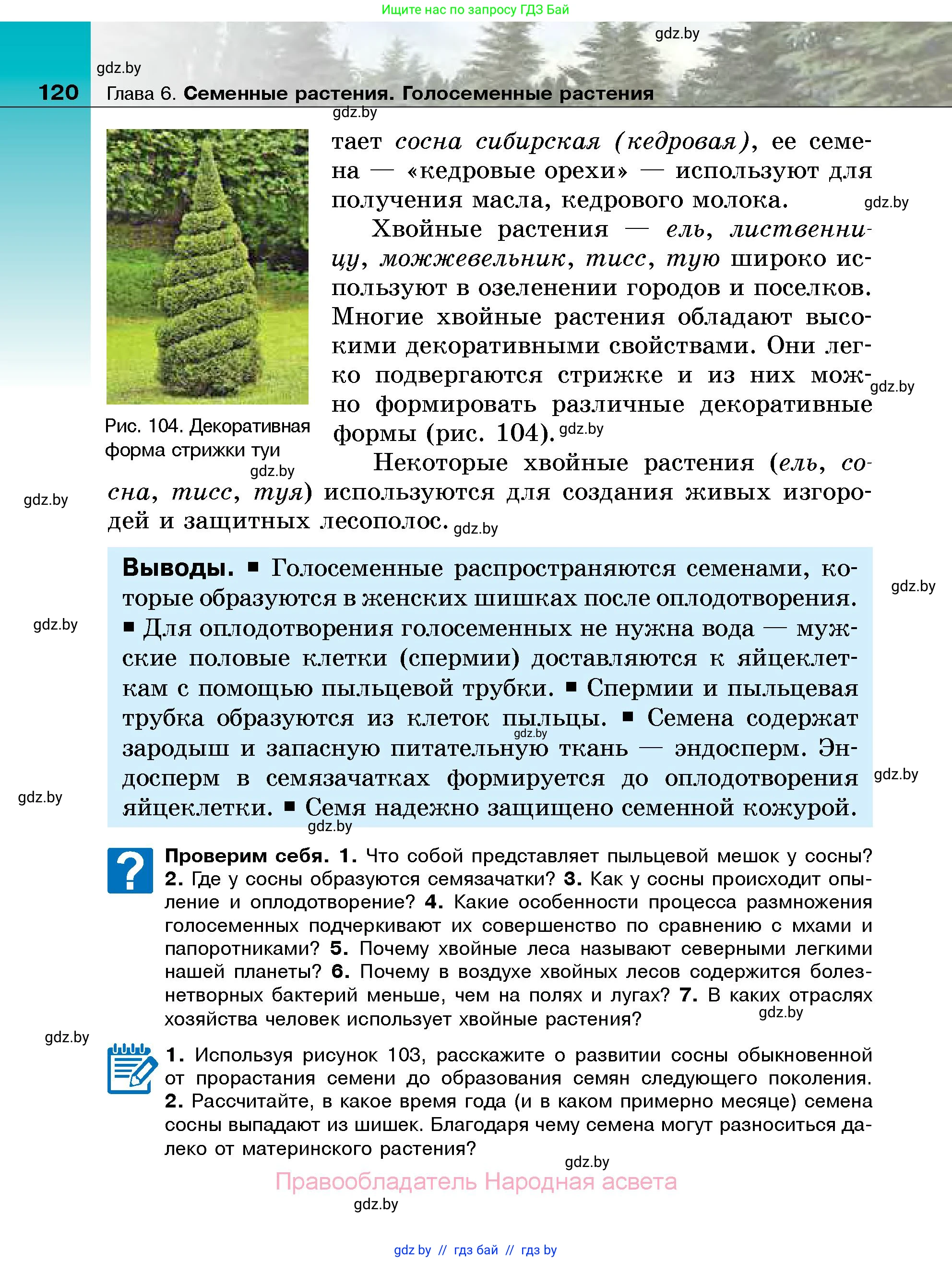 Биология, 7 класс Учебник, автор: Лисов Николай Дмитриевич, издательство Народная асвета, Минск, 2022, зелёного цвета, страница 120