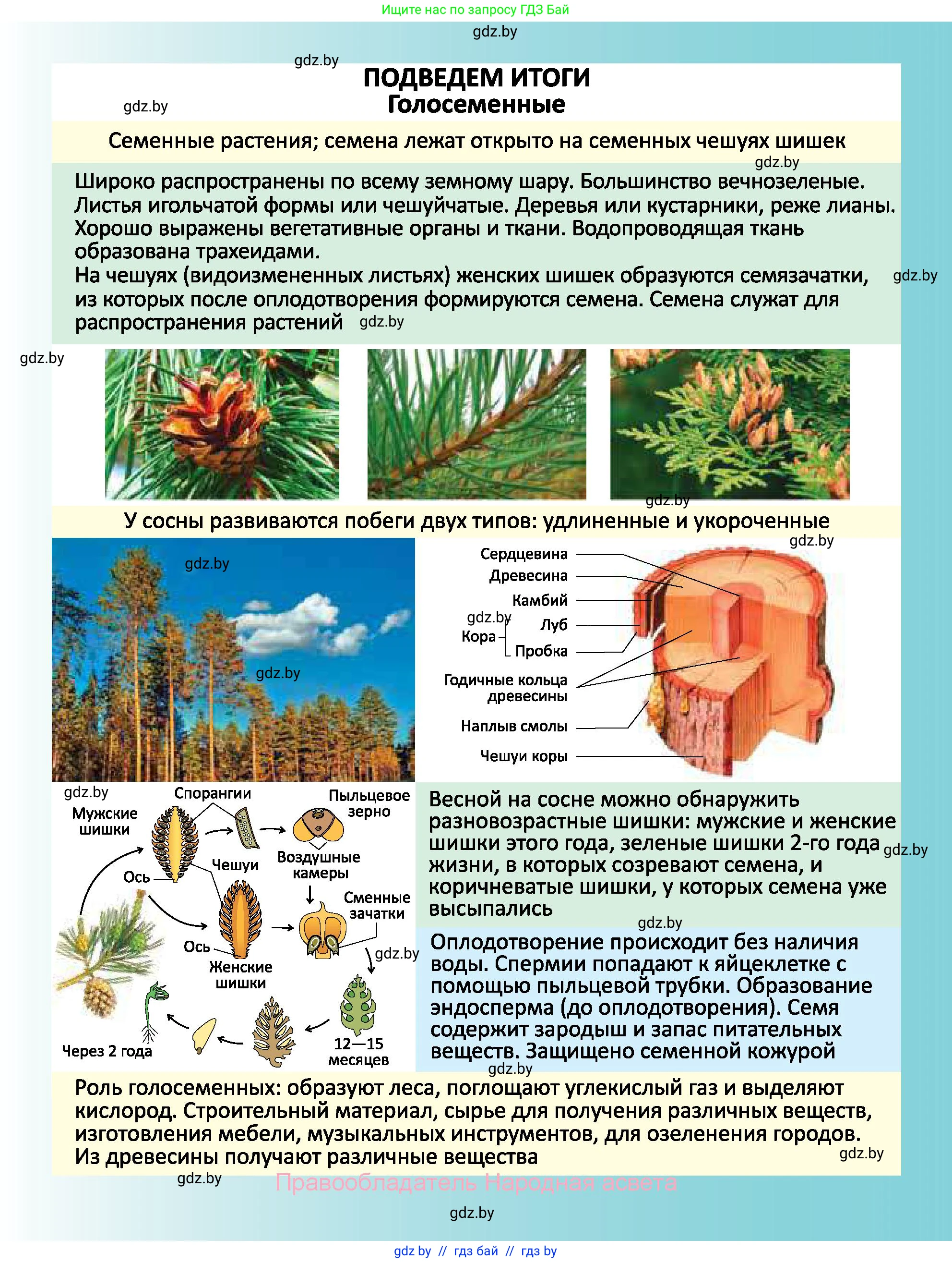 Биология, 7 класс Учебник, автор: Лисов Николай Дмитриевич, издательство Народная асвета, Минск, 2022, зелёного цвета, страница 121
