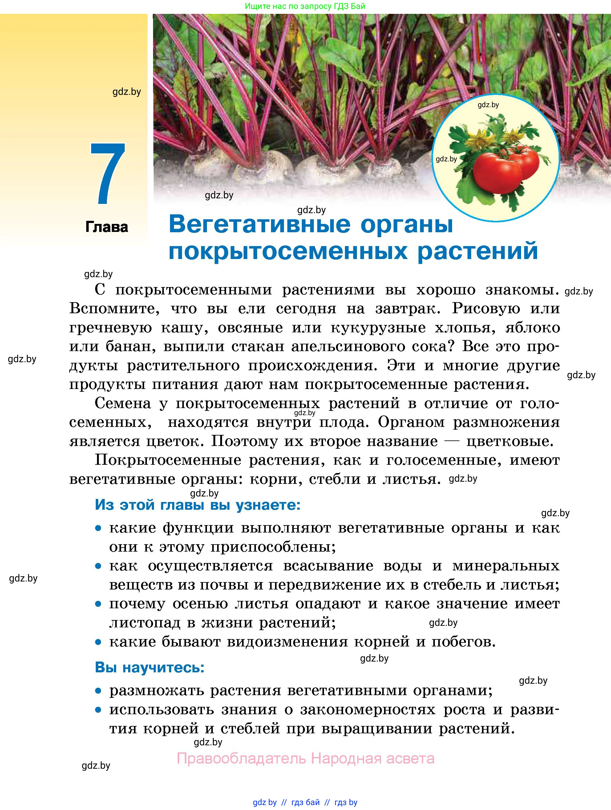 Биология, 7 класс Учебник, автор: Лисов Николай Дмитриевич, издательство Народная асвета, Минск, 2022, зелёного цвета, страница 122