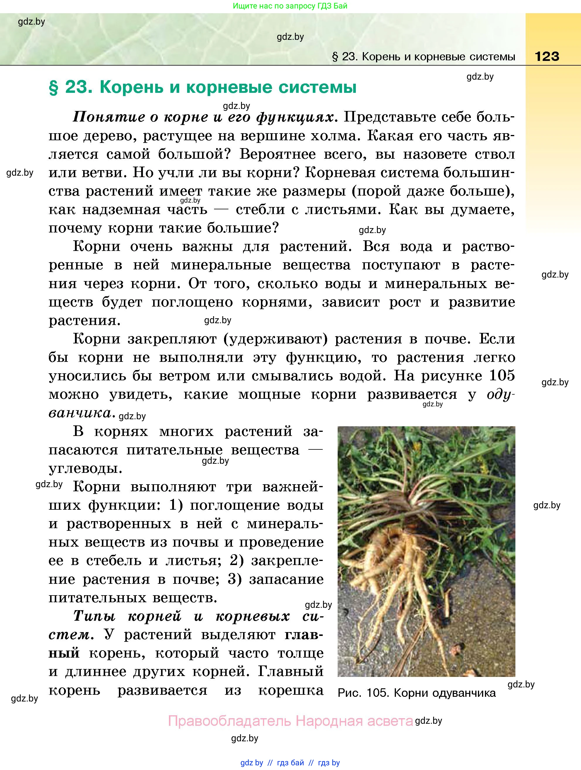 Биология, 7 класс Учебник, автор: Лисов Николай Дмитриевич, издательство Народная асвета, Минск, 2022, зелёного цвета, страница 123