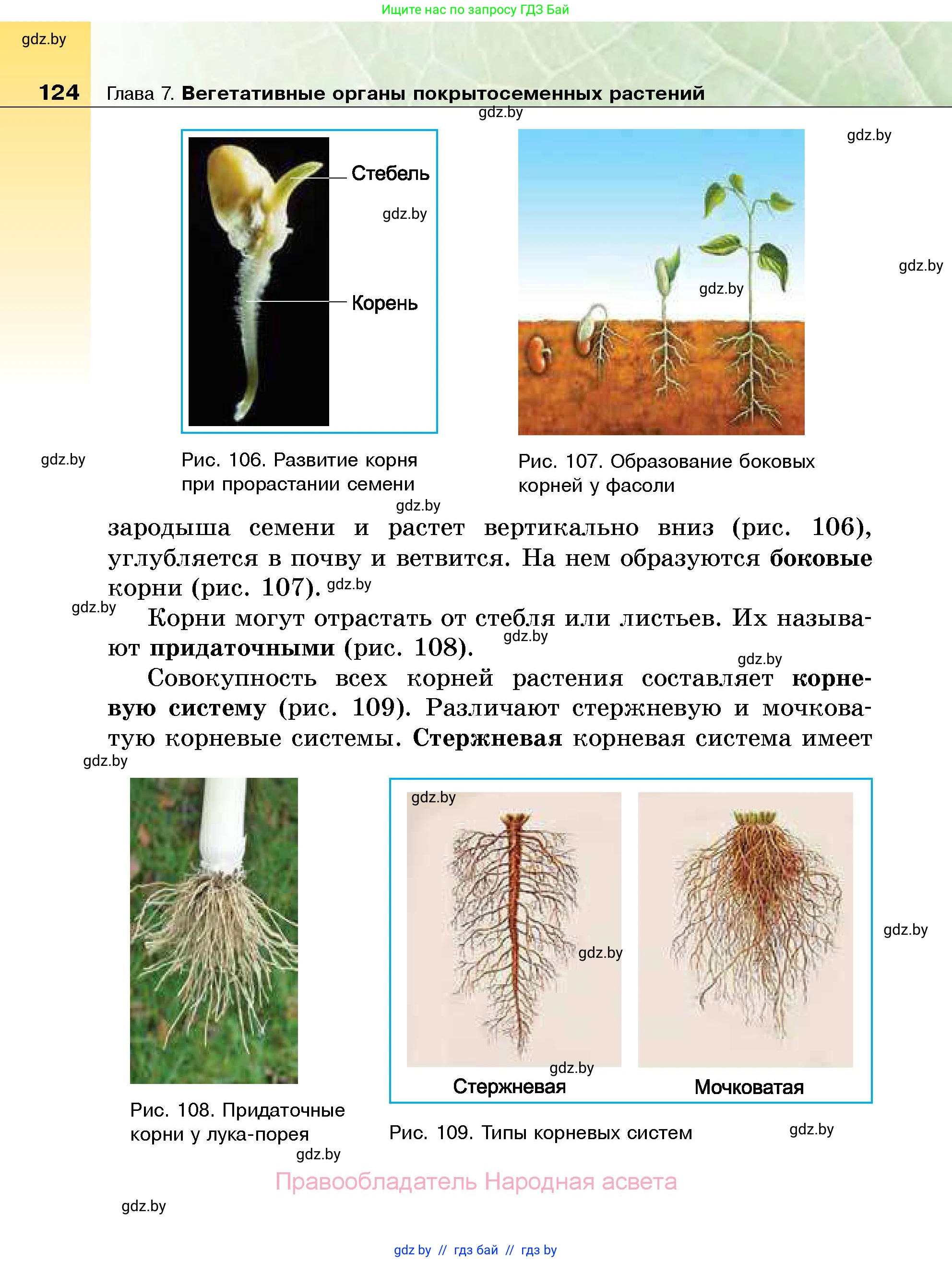 Биология, 7 класс Учебник, автор: Лисов Николай Дмитриевич, издательство Народная асвета, Минск, 2022, зелёного цвета, страница 124