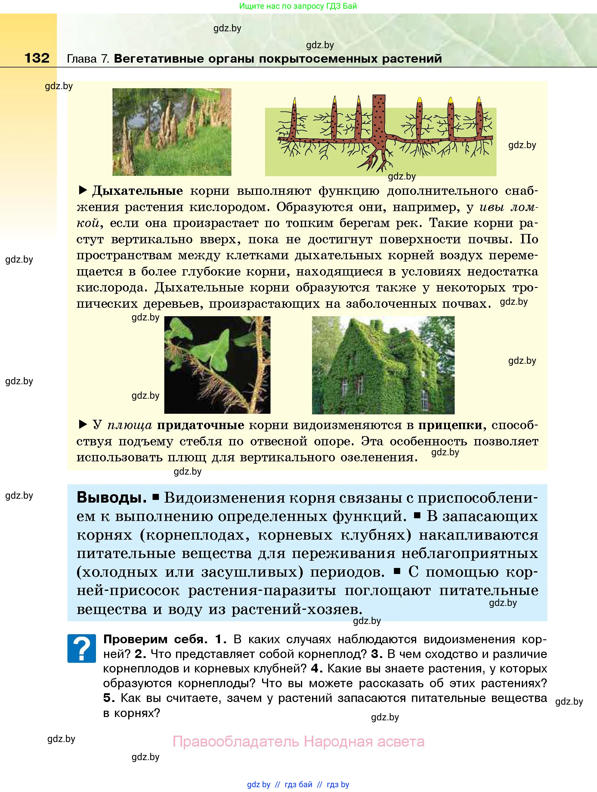 Биология, 7 класс Учебник, автор: Лисов Николай Дмитриевич, издательство Народная асвета, Минск, 2022, зелёного цвета, страница 132