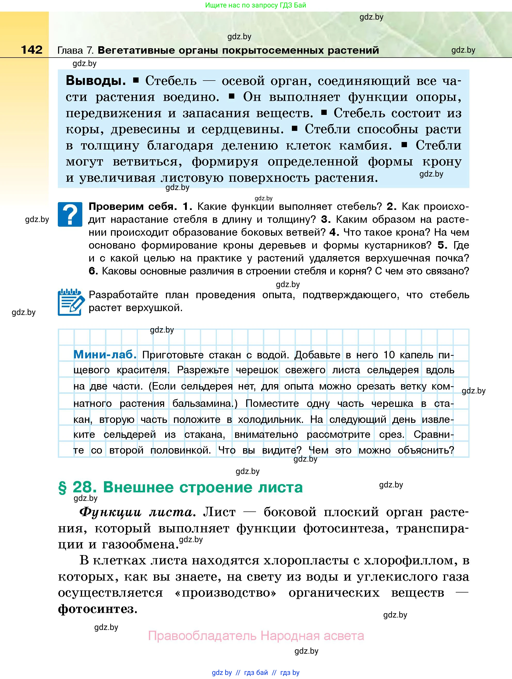 Биология, 7 класс Учебник, автор: Лисов Николай Дмитриевич, издательство Народная асвета, Минск, 2022, зелёного цвета, страница 142