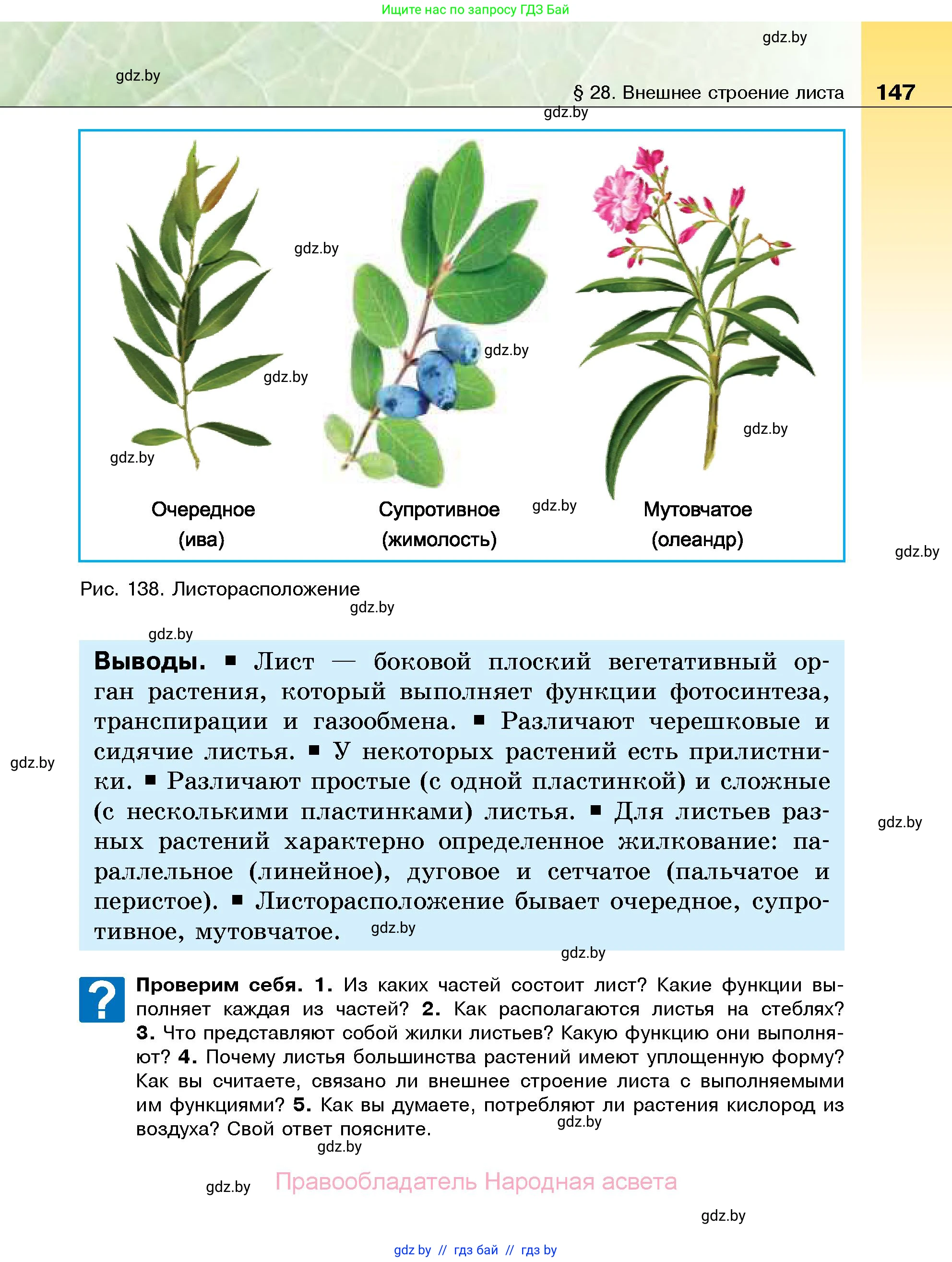 Биология, 7 класс Учебник, автор: Лисов Николай Дмитриевич, издательство Народная асвета, Минск, 2022, зелёного цвета, страница 147