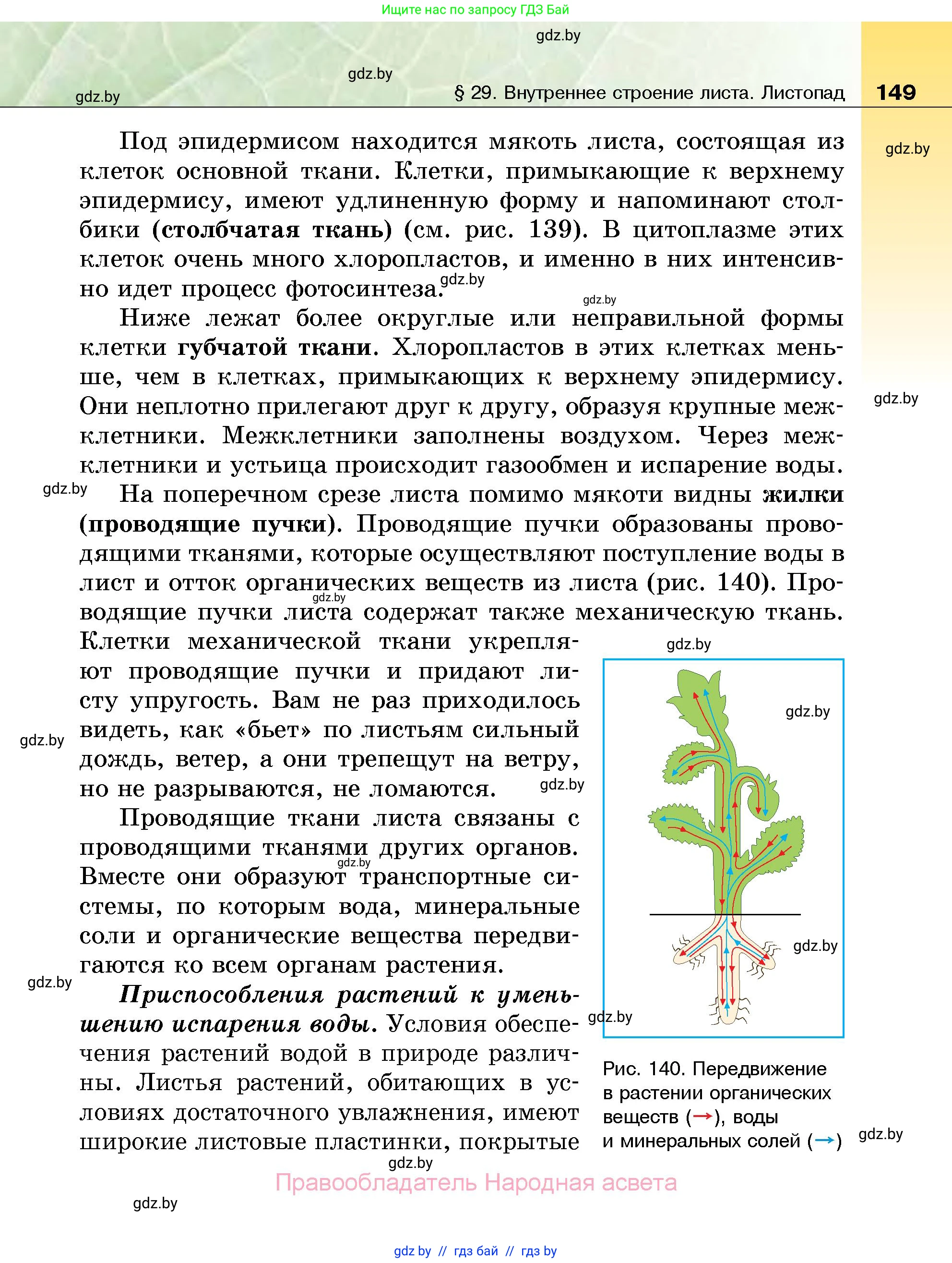 Биология, 7 класс Учебник, автор: Лисов Николай Дмитриевич, издательство Народная асвета, Минск, 2022, зелёного цвета, страница 149