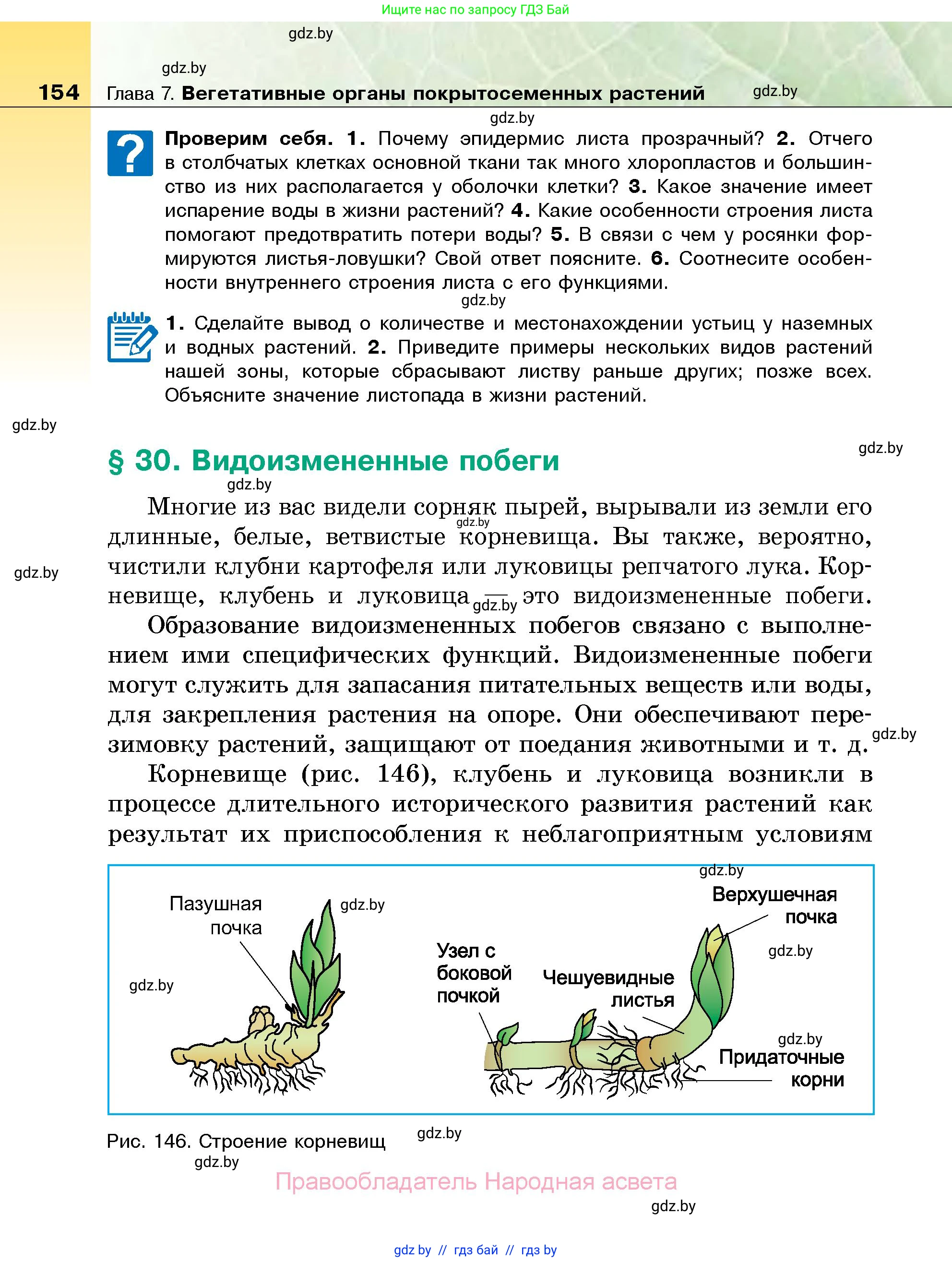 Биология, 7 класс Учебник, автор: Лисов Николай Дмитриевич, издательство Народная асвета, Минск, 2022, зелёного цвета, страница 154