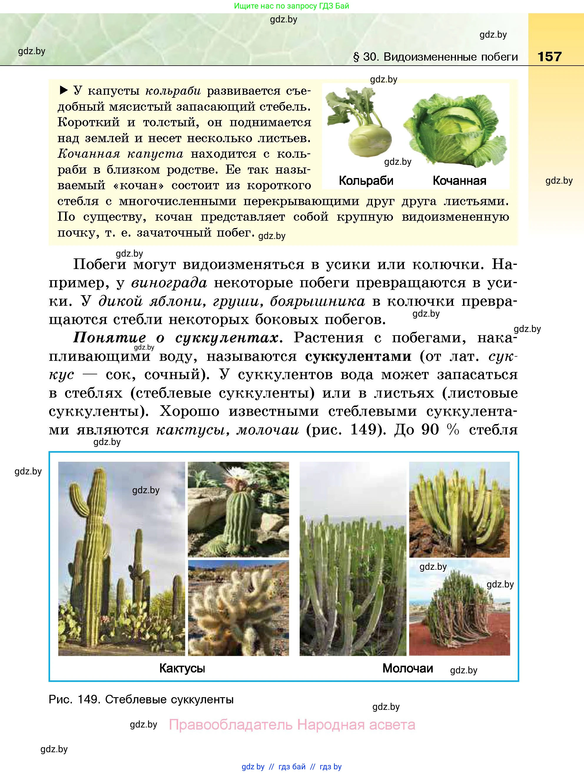 Биология, 7 класс Учебник, автор: Лисов Николай Дмитриевич, издательство Народная асвета, Минск, 2022, зелёного цвета, страница 157