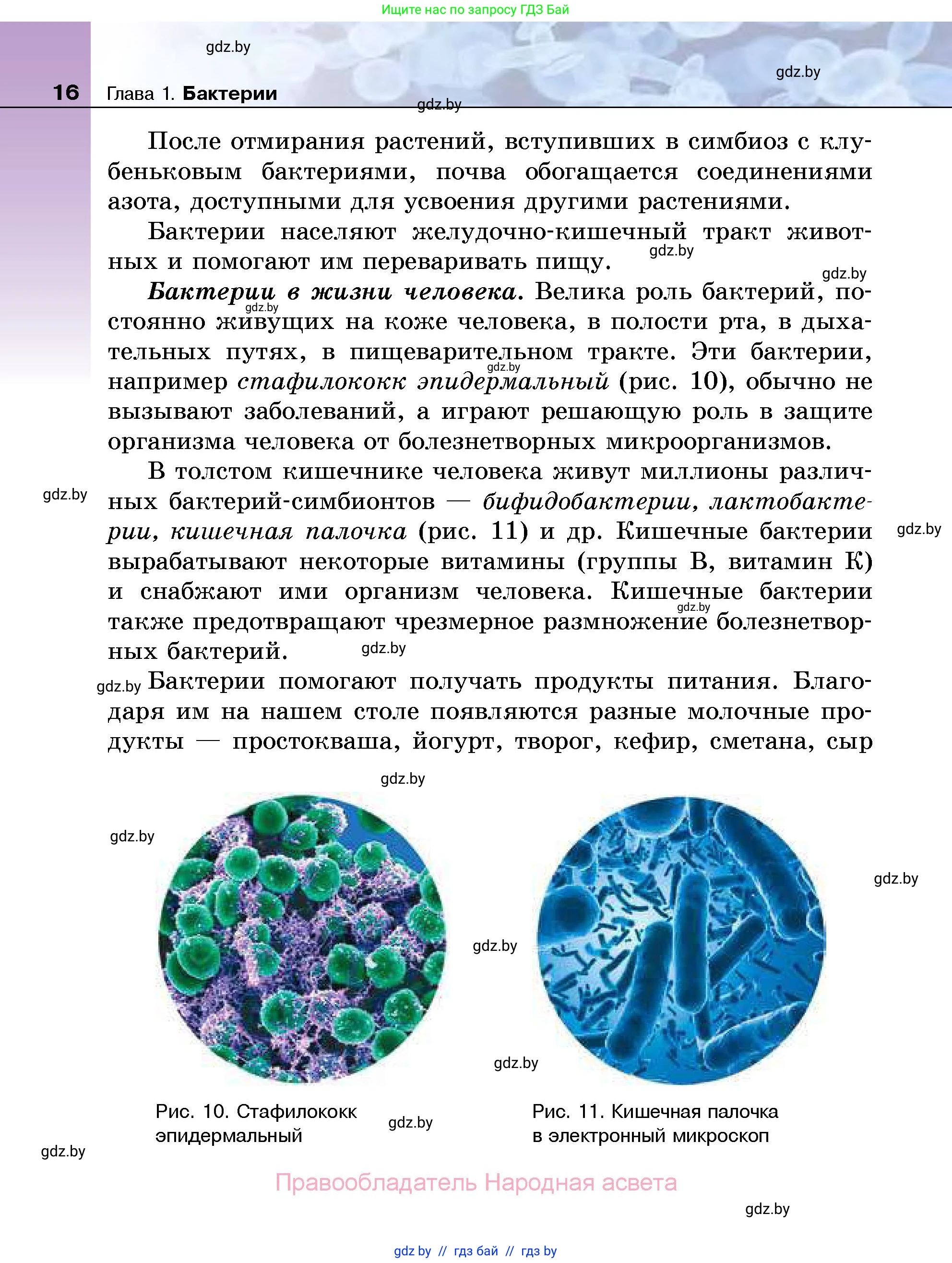 Биология, 7 класс Учебник, автор: Лисов Николай Дмитриевич, издательство Народная асвета, Минск, 2022, зелёного цвета, страница 16