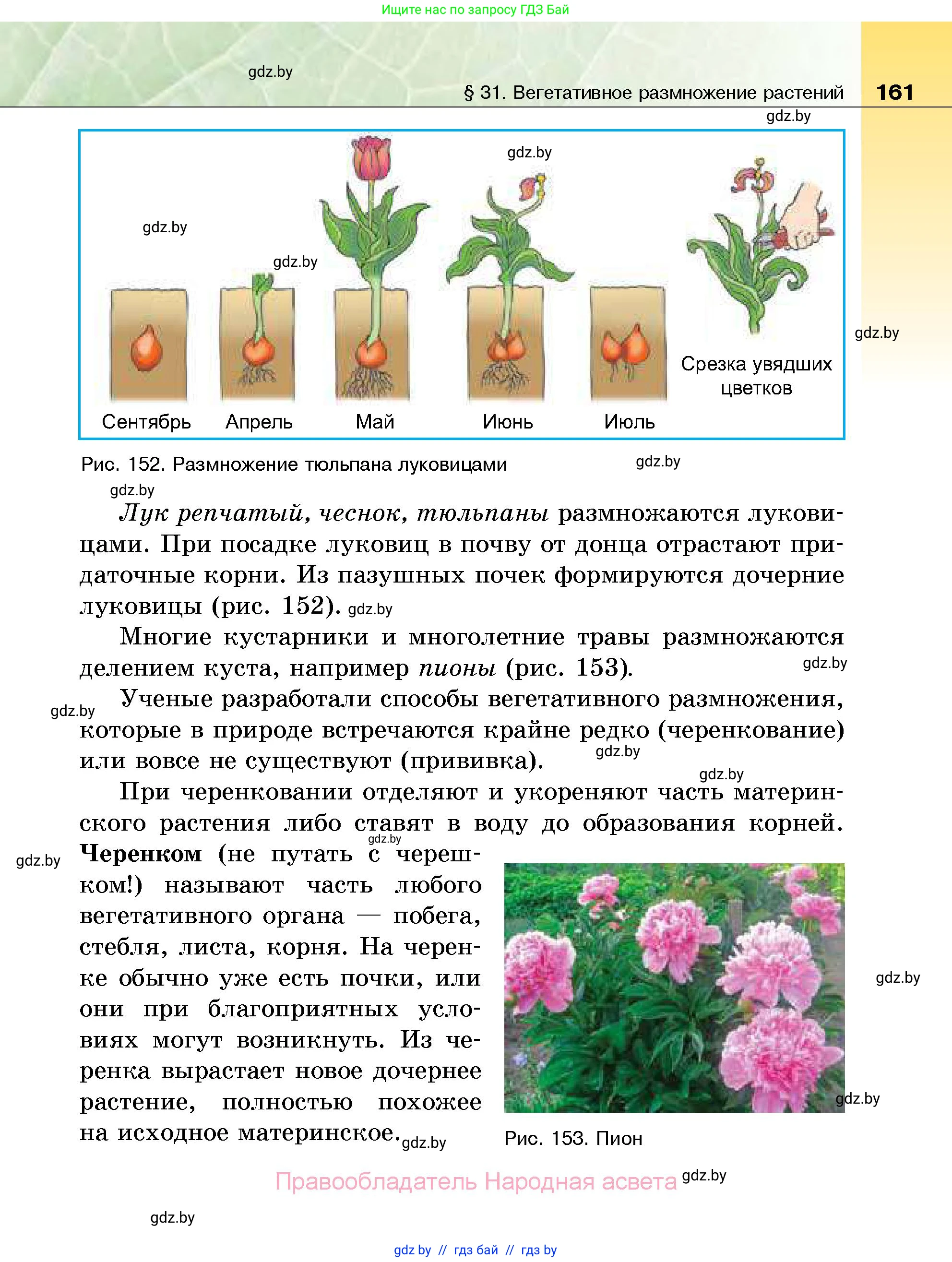 Биология, 7 класс Учебник, автор: Лисов Николай Дмитриевич, издательство Народная асвета, Минск, 2022, зелёного цвета, страница 161