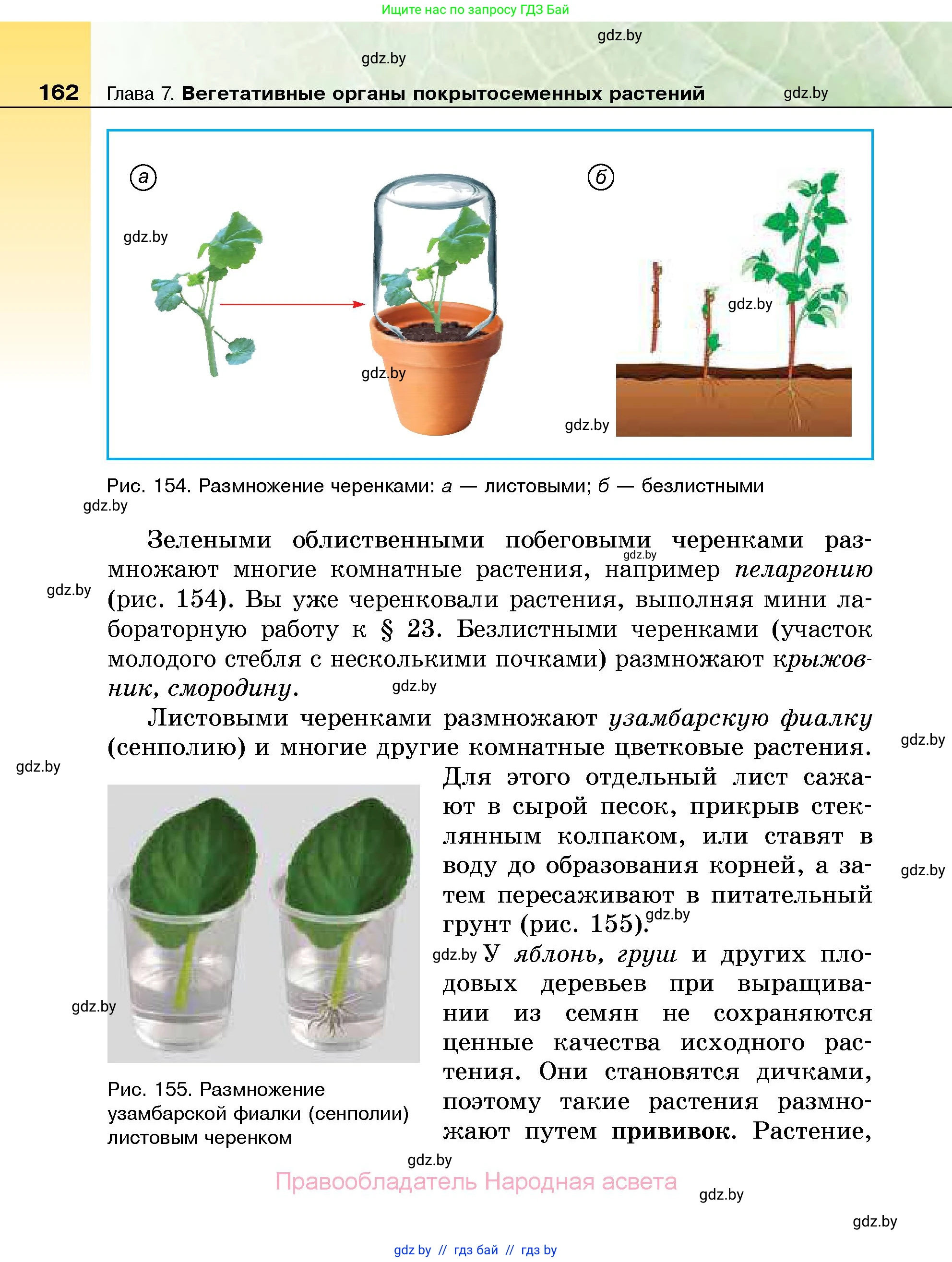 Биология, 7 класс Учебник, автор: Лисов Николай Дмитриевич, издательство Народная асвета, Минск, 2022, зелёного цвета, страница 162
