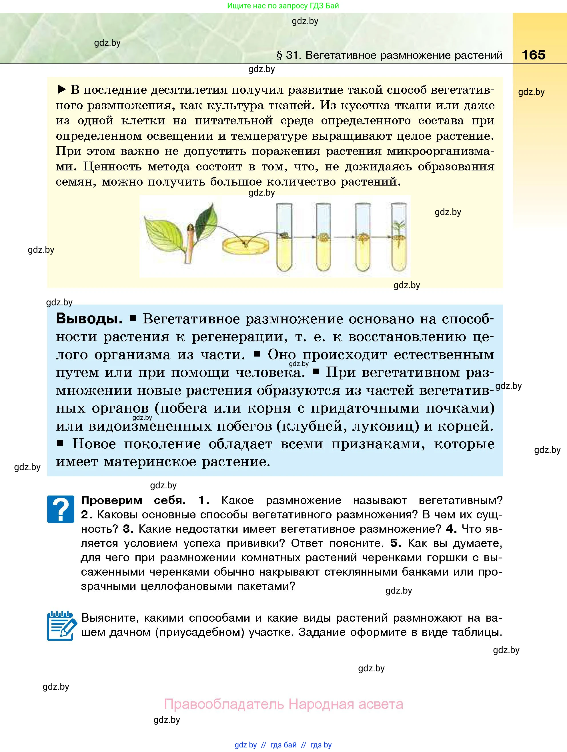 Биология, 7 класс Учебник, автор: Лисов Николай Дмитриевич, издательство Народная асвета, Минск, 2022, зелёного цвета, страница 165