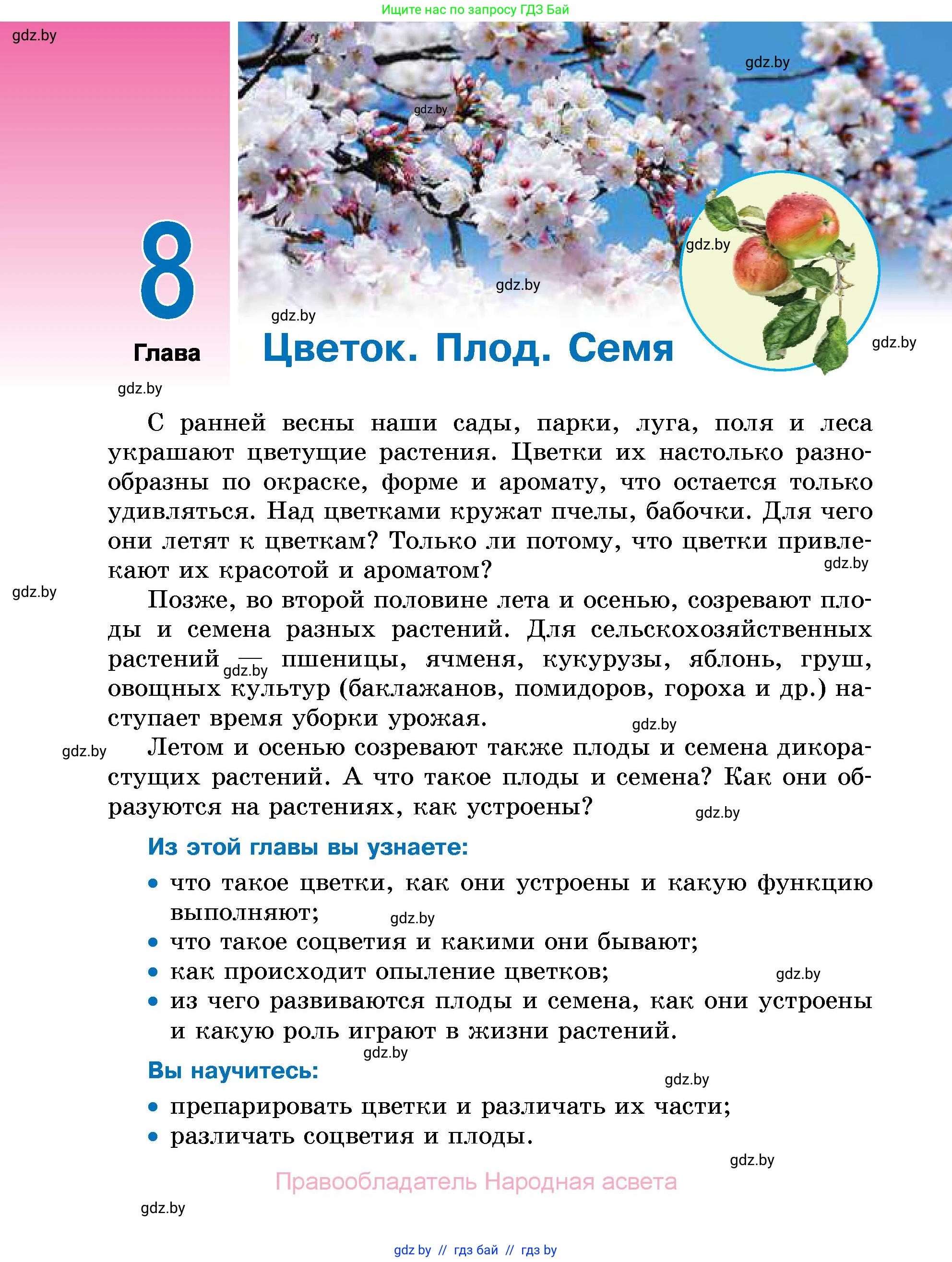 Биология, 7 класс Учебник, автор: Лисов Николай Дмитриевич, издательство Народная асвета, Минск, 2022, зелёного цвета, страница 168