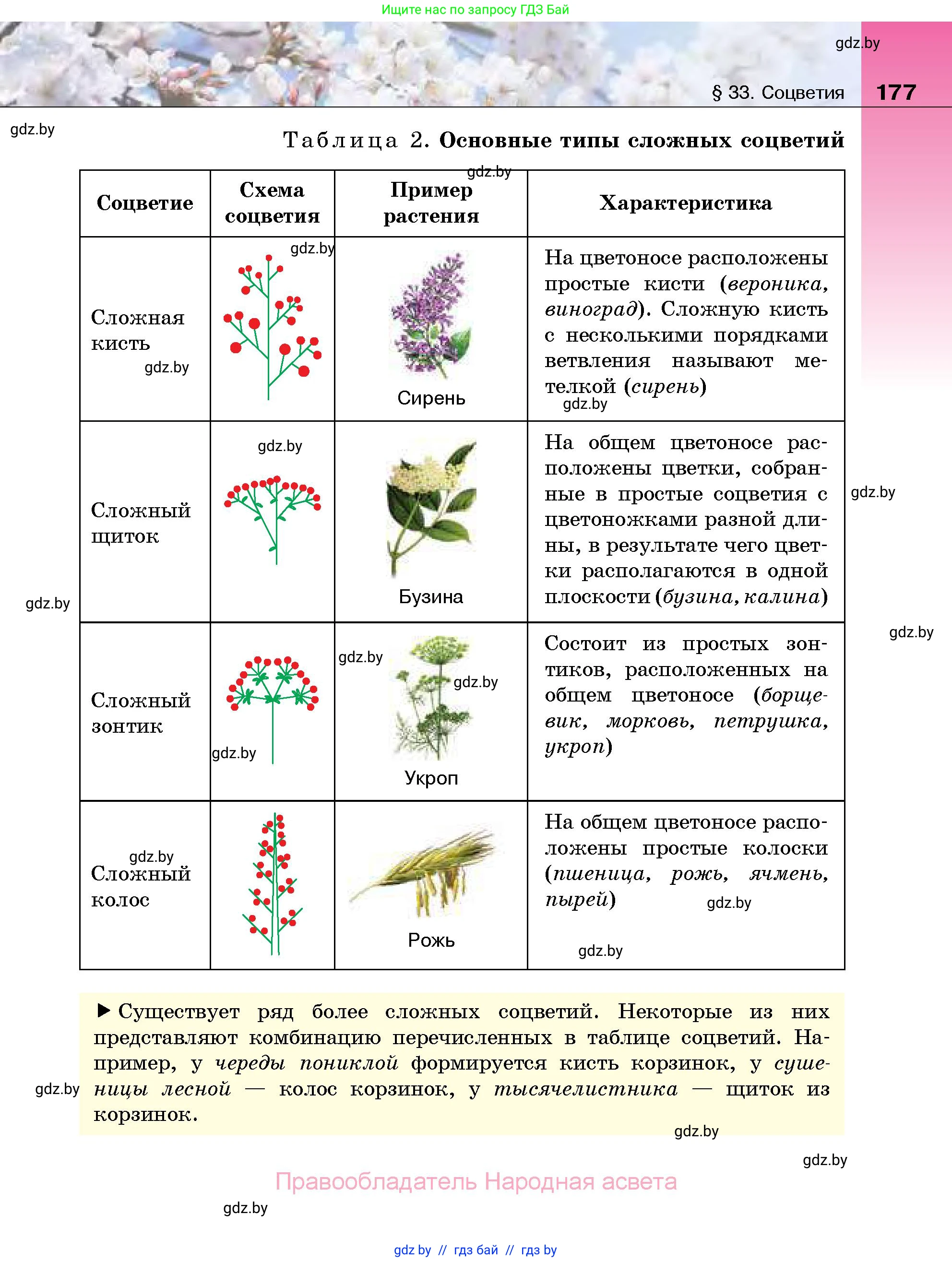 Биология, 7 класс Учебник, автор: Лисов Николай Дмитриевич, издательство Народная асвета, Минск, 2022, зелёного цвета, страница 177