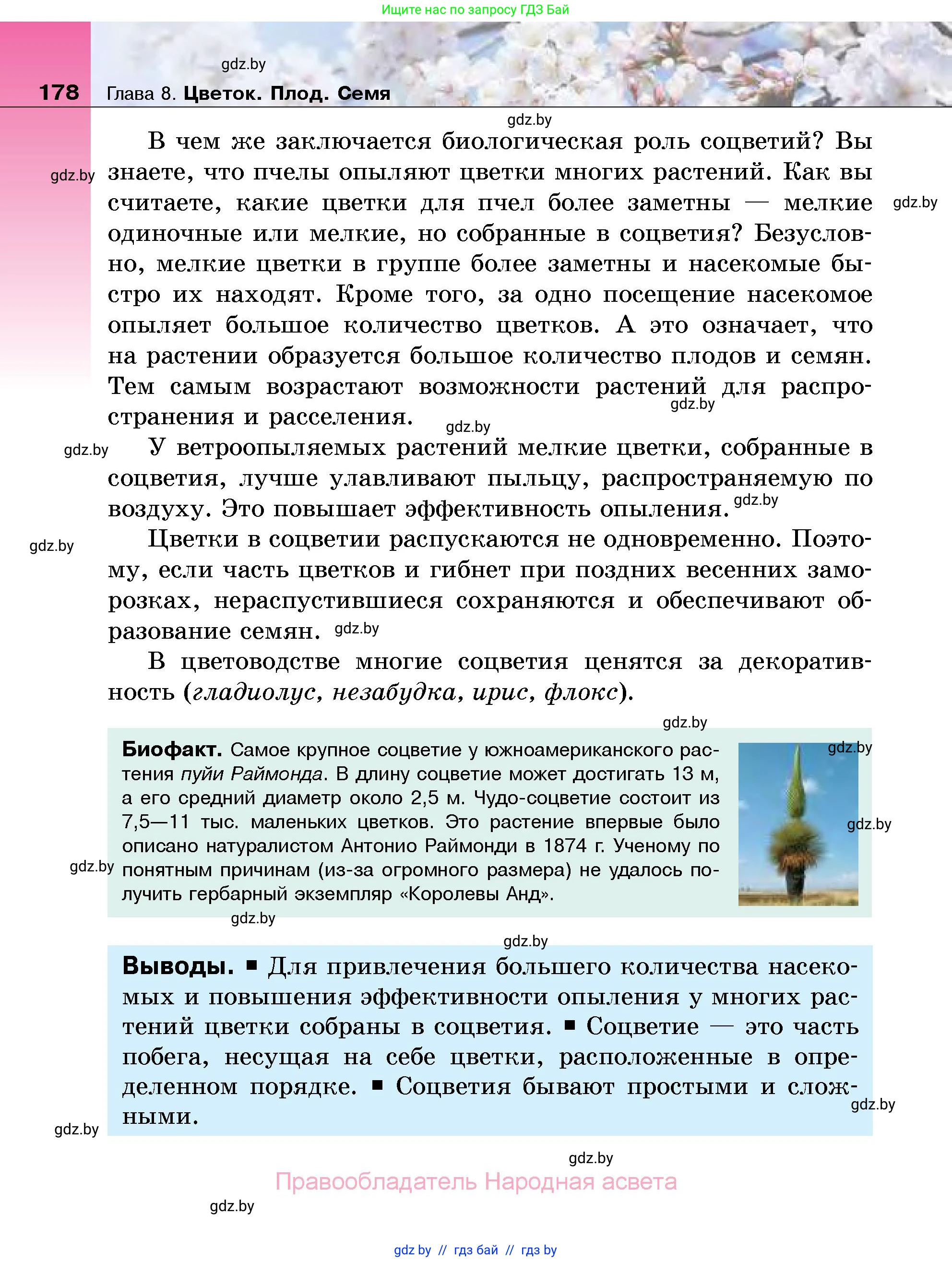 Биология, 7 класс Учебник, автор: Лисов Николай Дмитриевич, издательство Народная асвета, Минск, 2022, зелёного цвета, страница 178