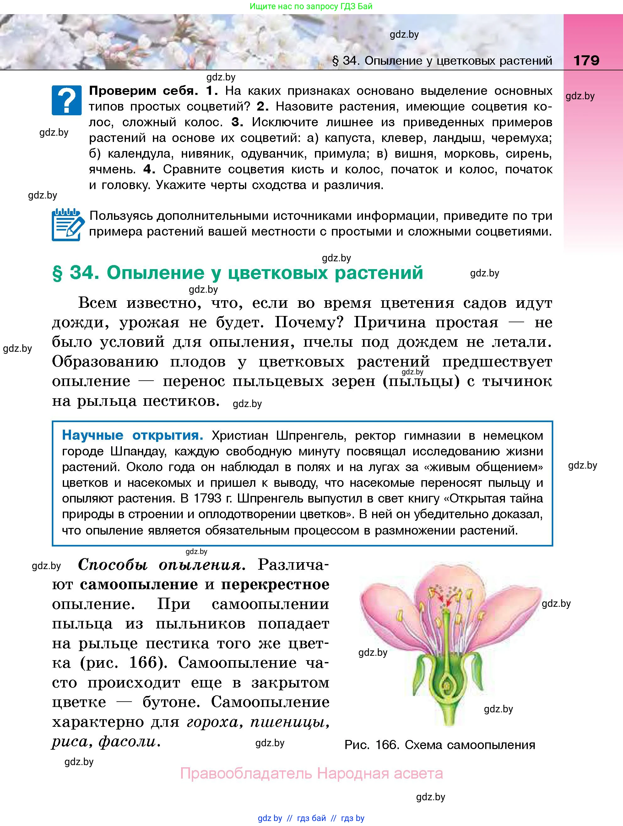 Биология, 7 класс Учебник, автор: Лисов Николай Дмитриевич, издательство Народная асвета, Минск, 2022, зелёного цвета, страница 179