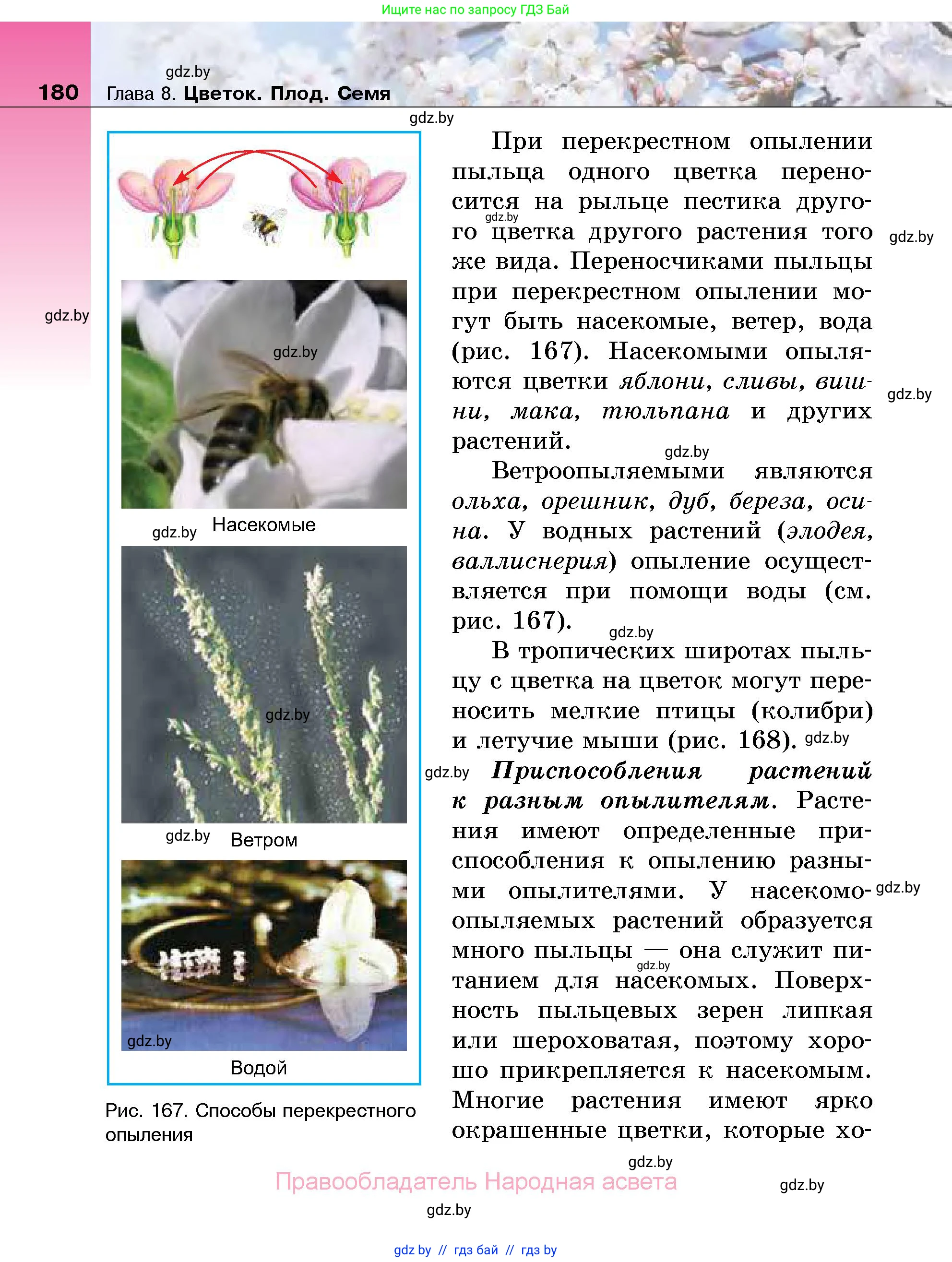 Биология, 7 класс Учебник, автор: Лисов Николай Дмитриевич, издательство Народная асвета, Минск, 2022, зелёного цвета, страница 180