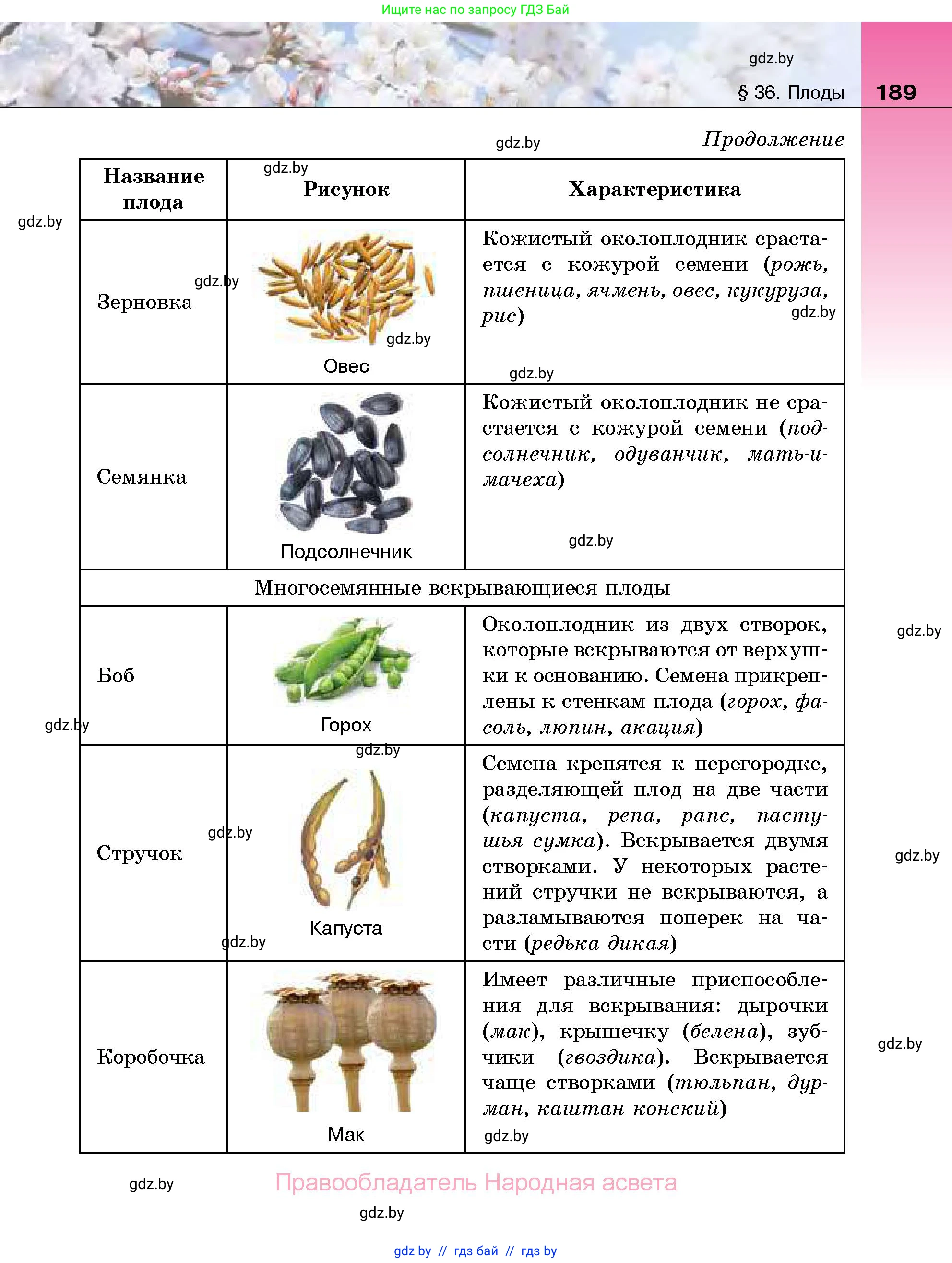 Биология, 7 класс Учебник, автор: Лисов Николай Дмитриевич, издательство Народная асвета, Минск, 2022, зелёного цвета, страница 189