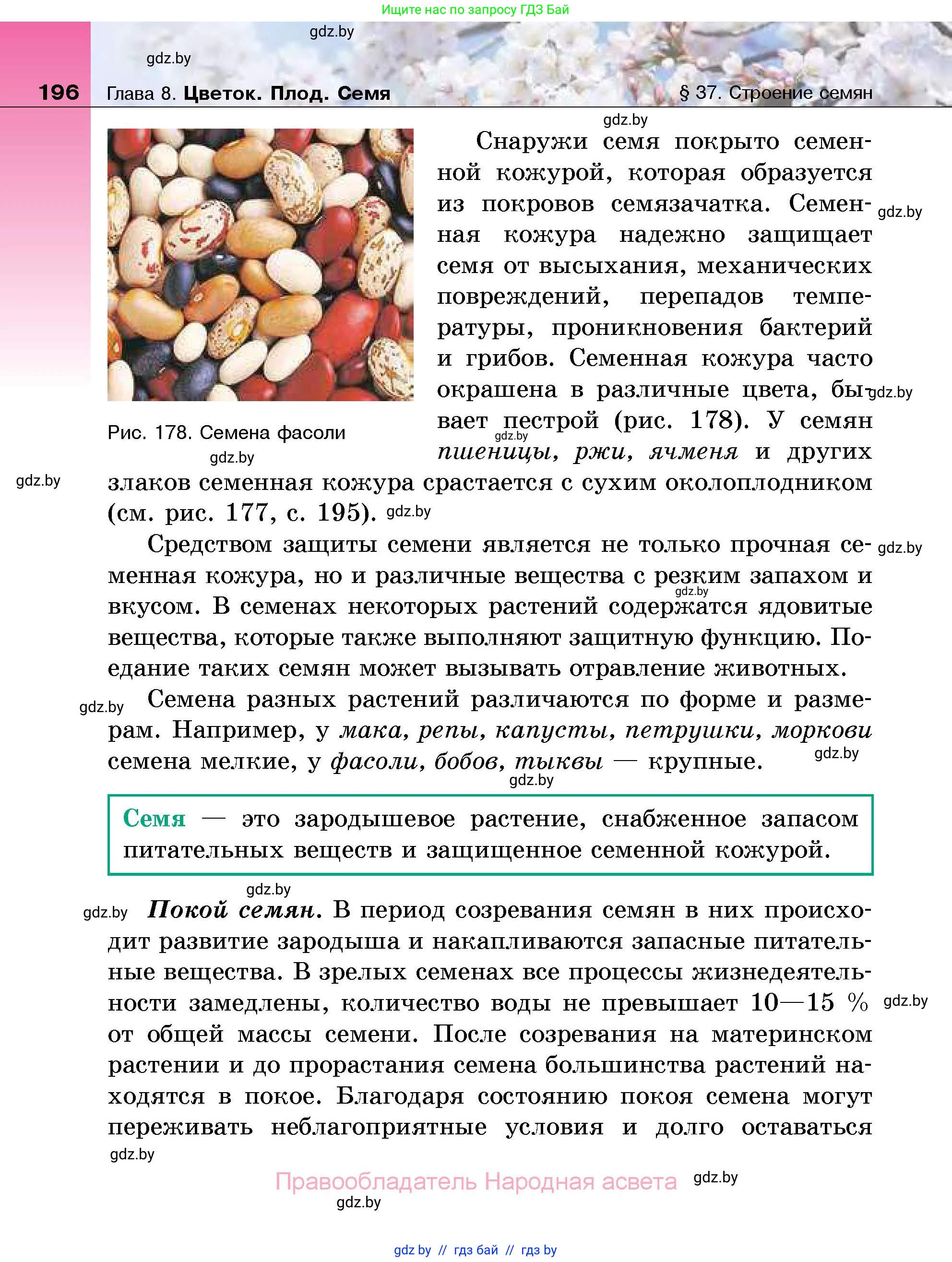 Биология, 7 класс Учебник, автор: Лисов Николай Дмитриевич, издательство Народная асвета, Минск, 2022, зелёного цвета, страница 196
