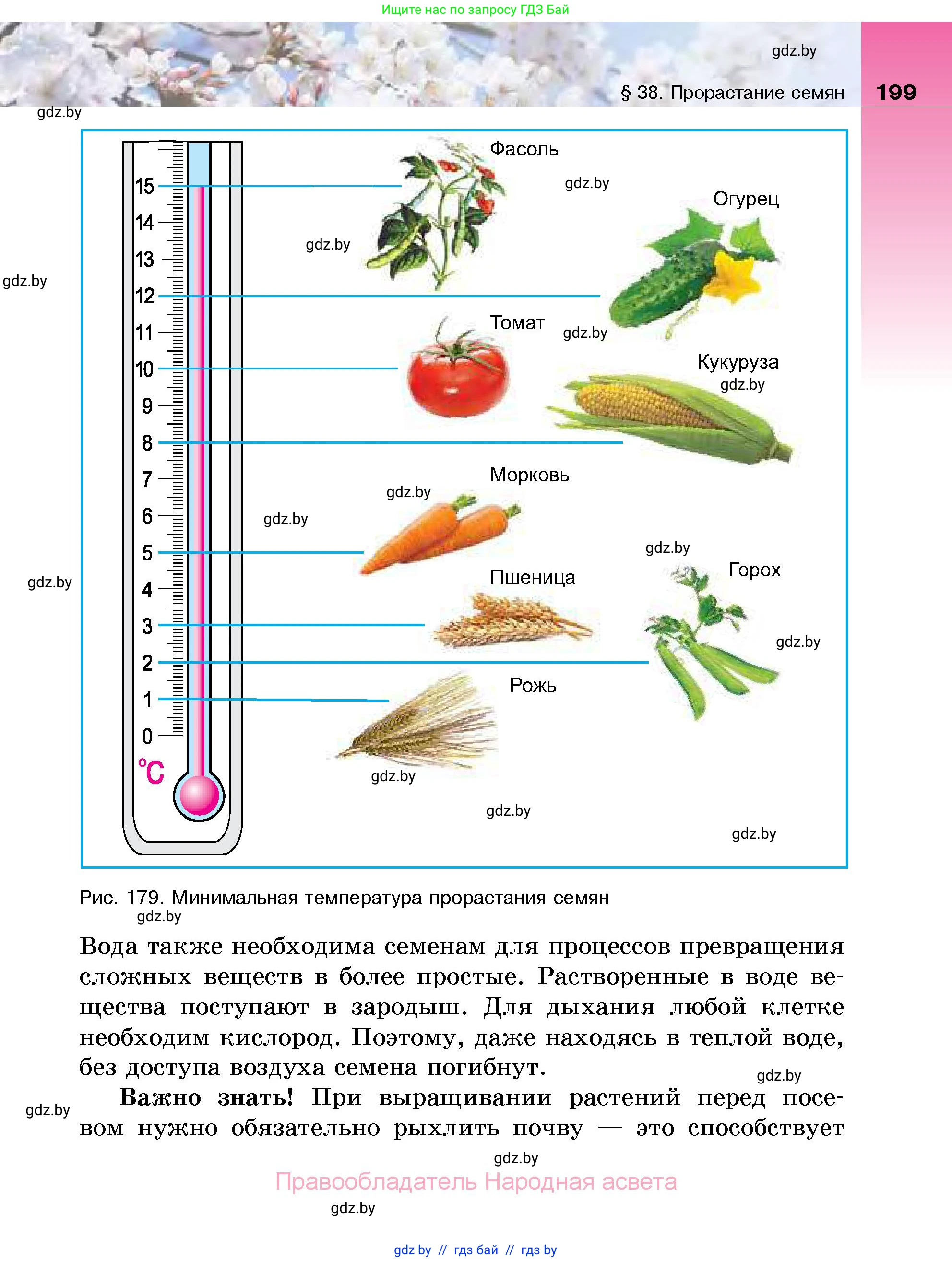 Биология, 7 класс Учебник, автор: Лисов Николай Дмитриевич, издательство Народная асвета, Минск, 2022, зелёного цвета, страница 199
