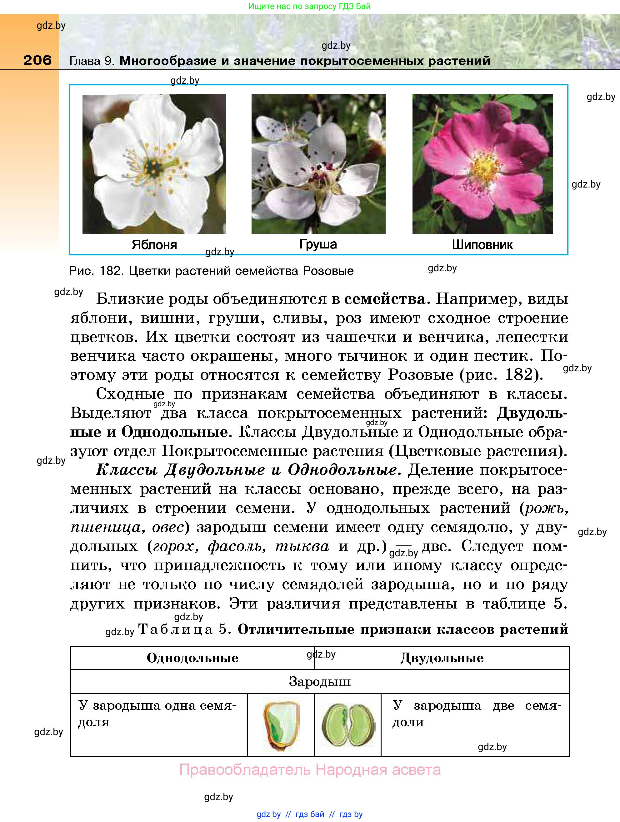 Биология, 7 класс Учебник, автор: Лисов Николай Дмитриевич, издательство Народная асвета, Минск, 2022, зелёного цвета, страница 206