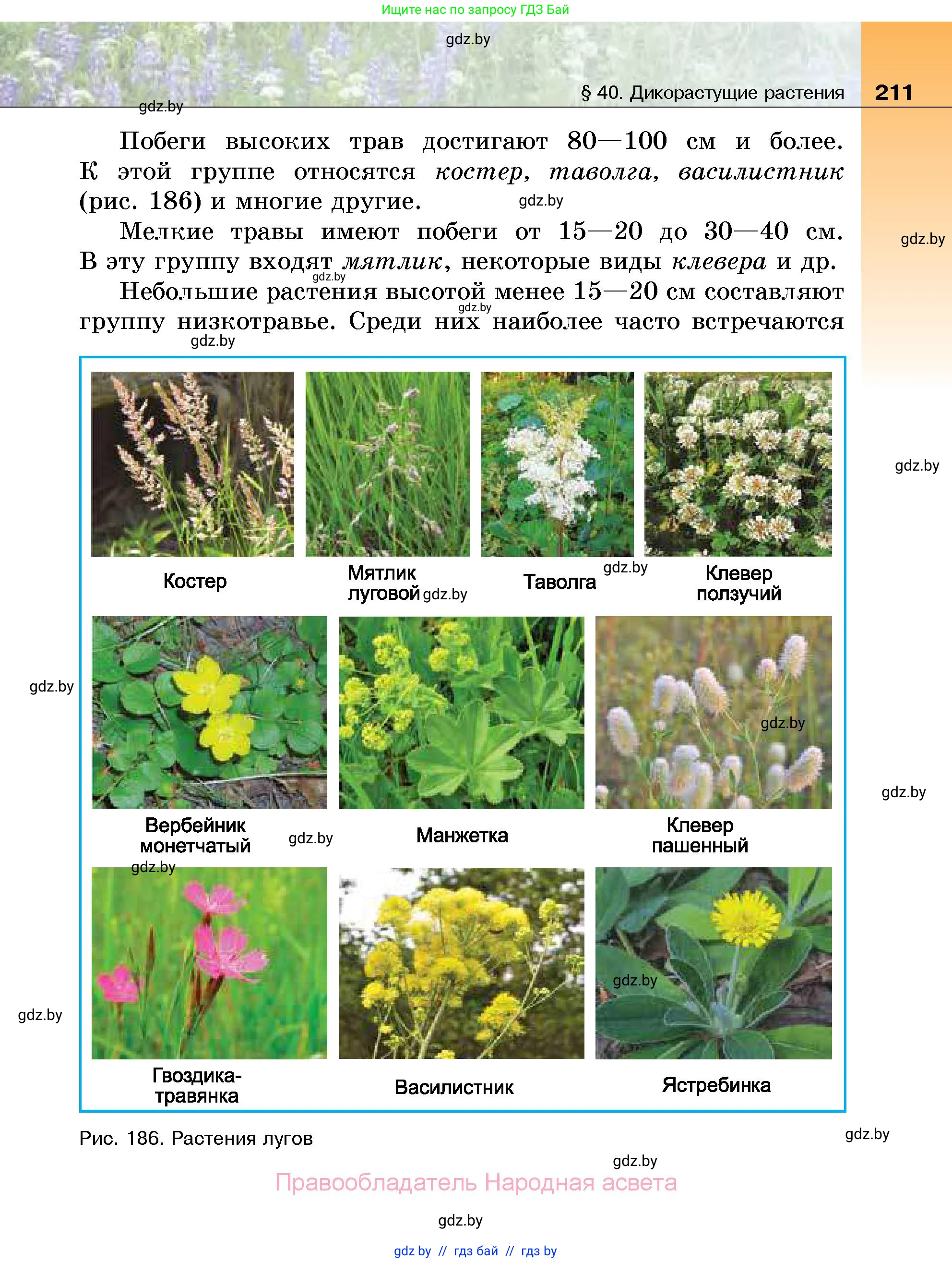 Биология, 7 класс Учебник, автор: Лисов Николай Дмитриевич, издательство Народная асвета, Минск, 2022, зелёного цвета, страница 211