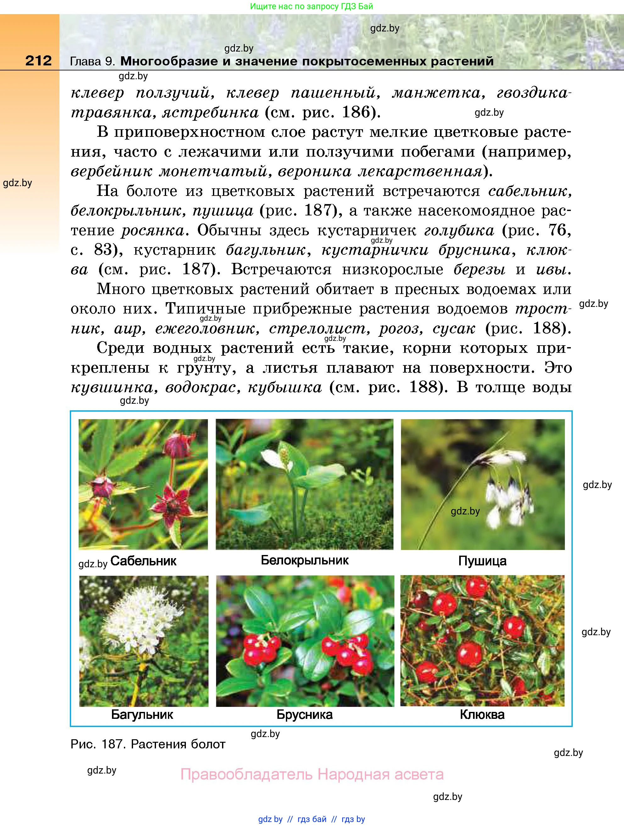 Биология, 7 класс Учебник, автор: Лисов Николай Дмитриевич, издательство Народная асвета, Минск, 2022, зелёного цвета, страница 212