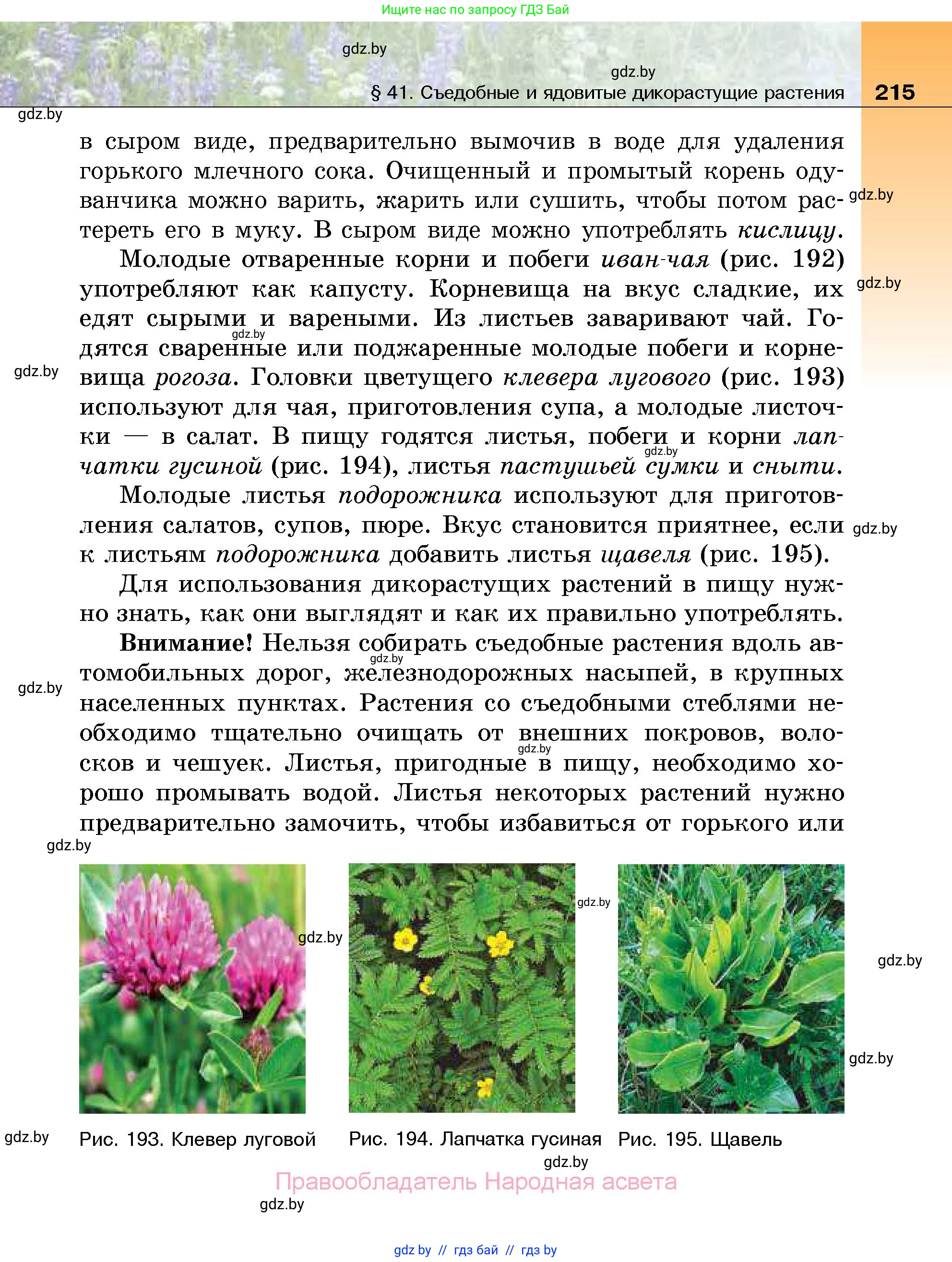 Биология, 7 класс Учебник, автор: Лисов Николай Дмитриевич, издательство Народная асвета, Минск, 2022, зелёного цвета, страница 215