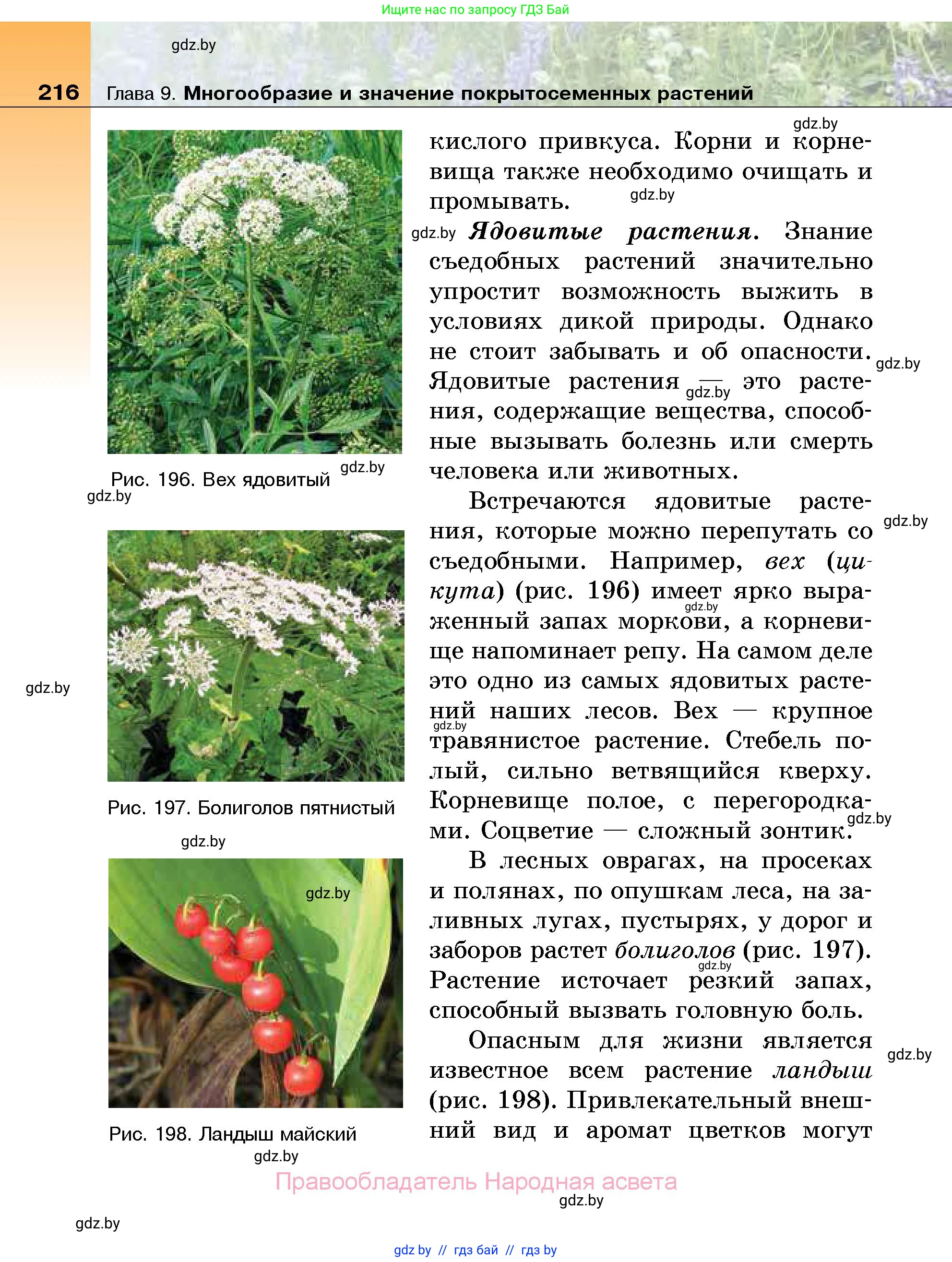 Биология, 7 класс Учебник, автор: Лисов Николай Дмитриевич, издательство Народная асвета, Минск, 2022, зелёного цвета, страница 216