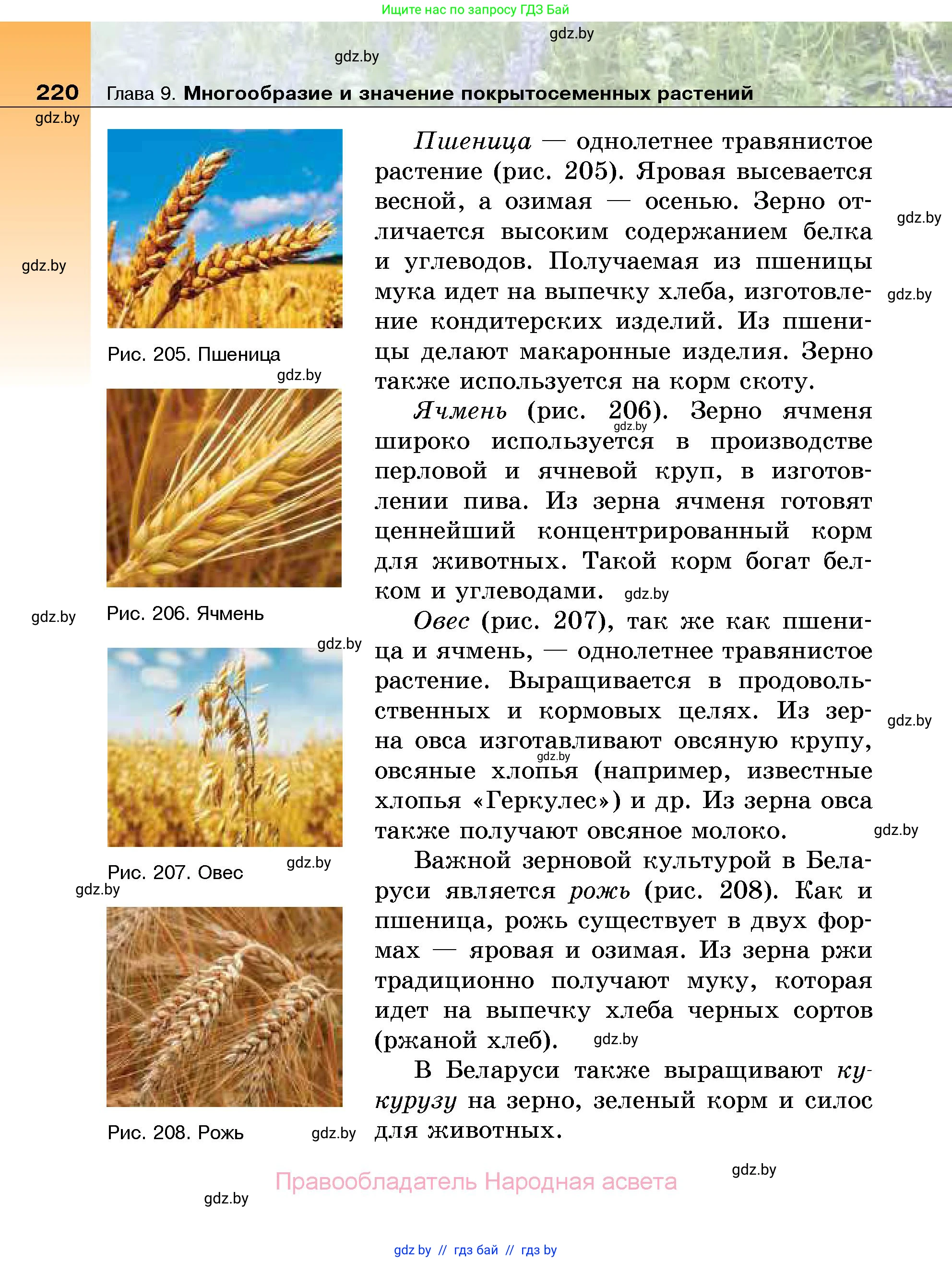 Биология, 7 класс Учебник, автор: Лисов Николай Дмитриевич, издательство Народная асвета, Минск, 2022, зелёного цвета, страница 220
