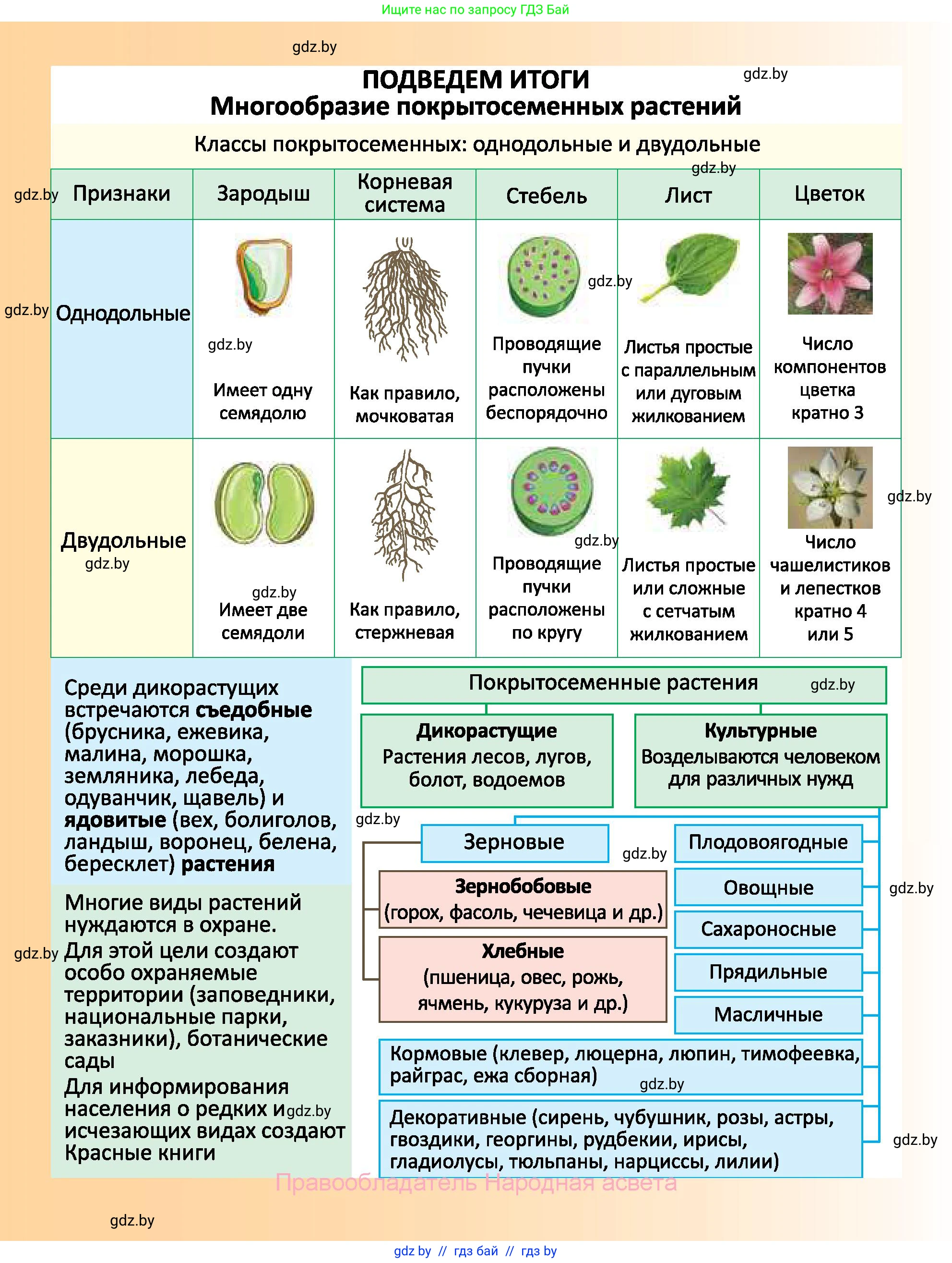 Биология, 7 класс Учебник, автор: Лисов Николай Дмитриевич, издательство Народная асвета, Минск, 2022, зелёного цвета, страница 234
