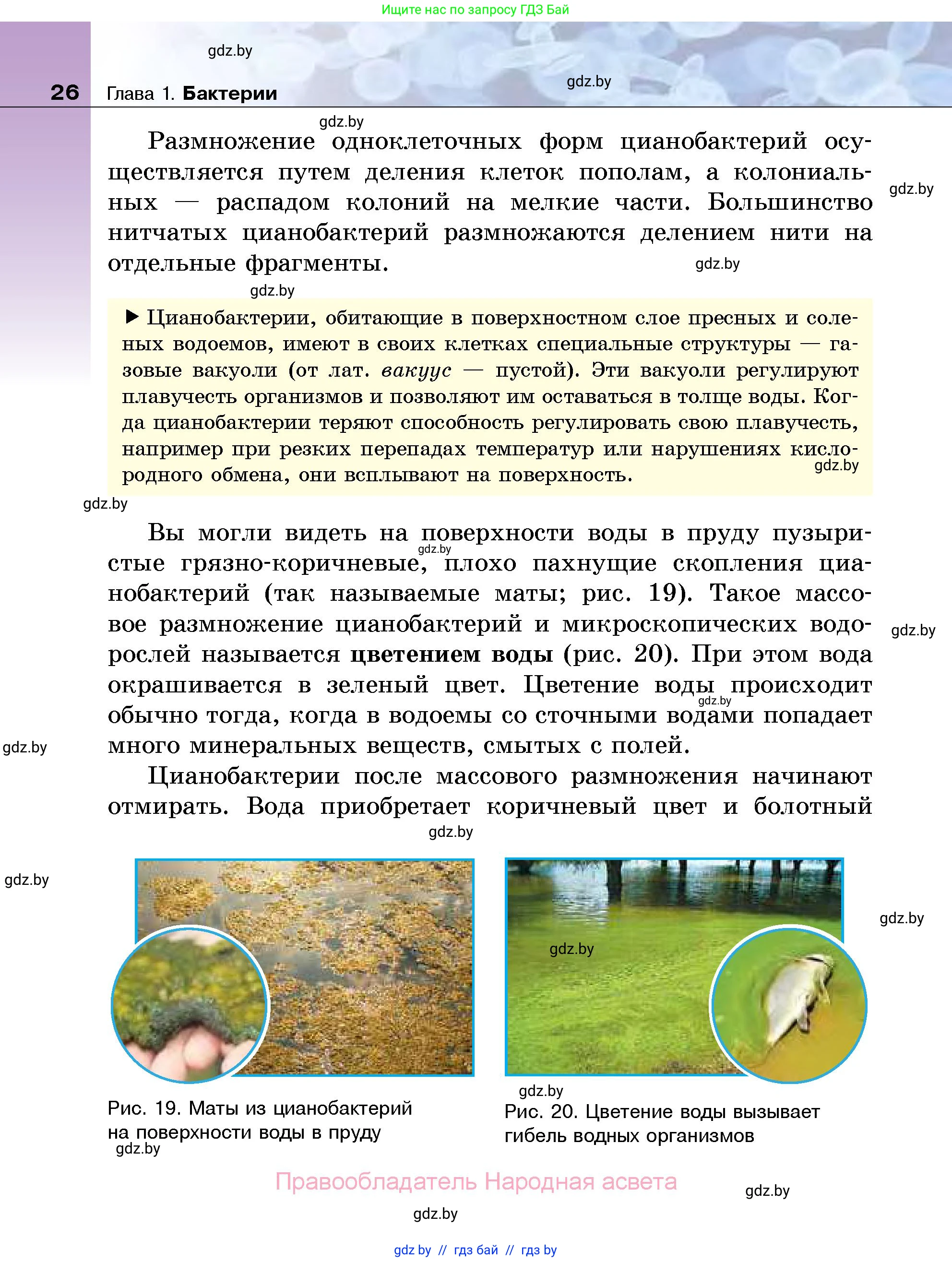 Биология, 7 класс Учебник, автор: Лисов Николай Дмитриевич, издательство Народная асвета, Минск, 2022, зелёного цвета, страница 26