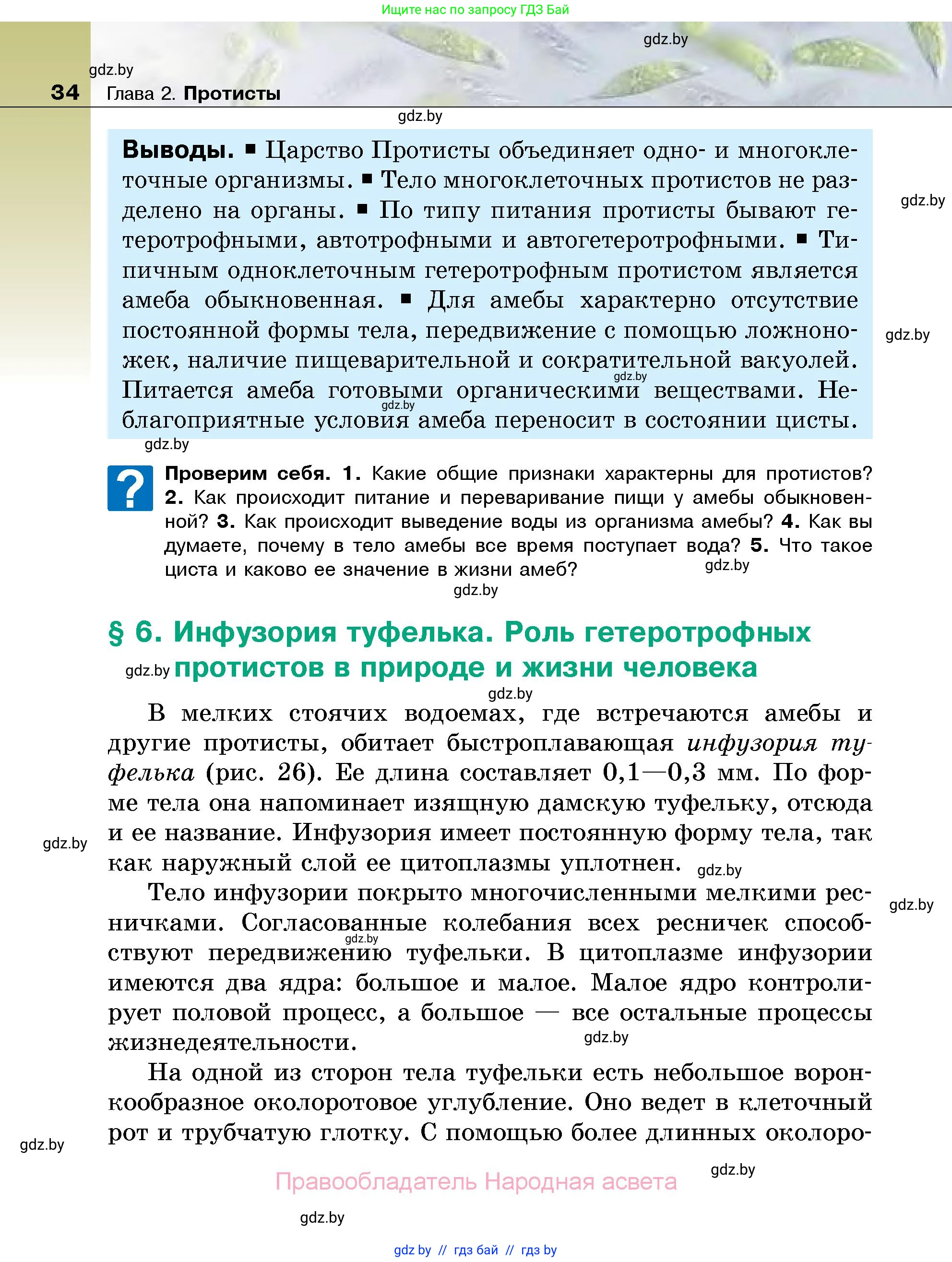 Биология, 7 класс Учебник, автор: Лисов Николай Дмитриевич, издательство Народная асвета, Минск, 2022, зелёного цвета, страница 34