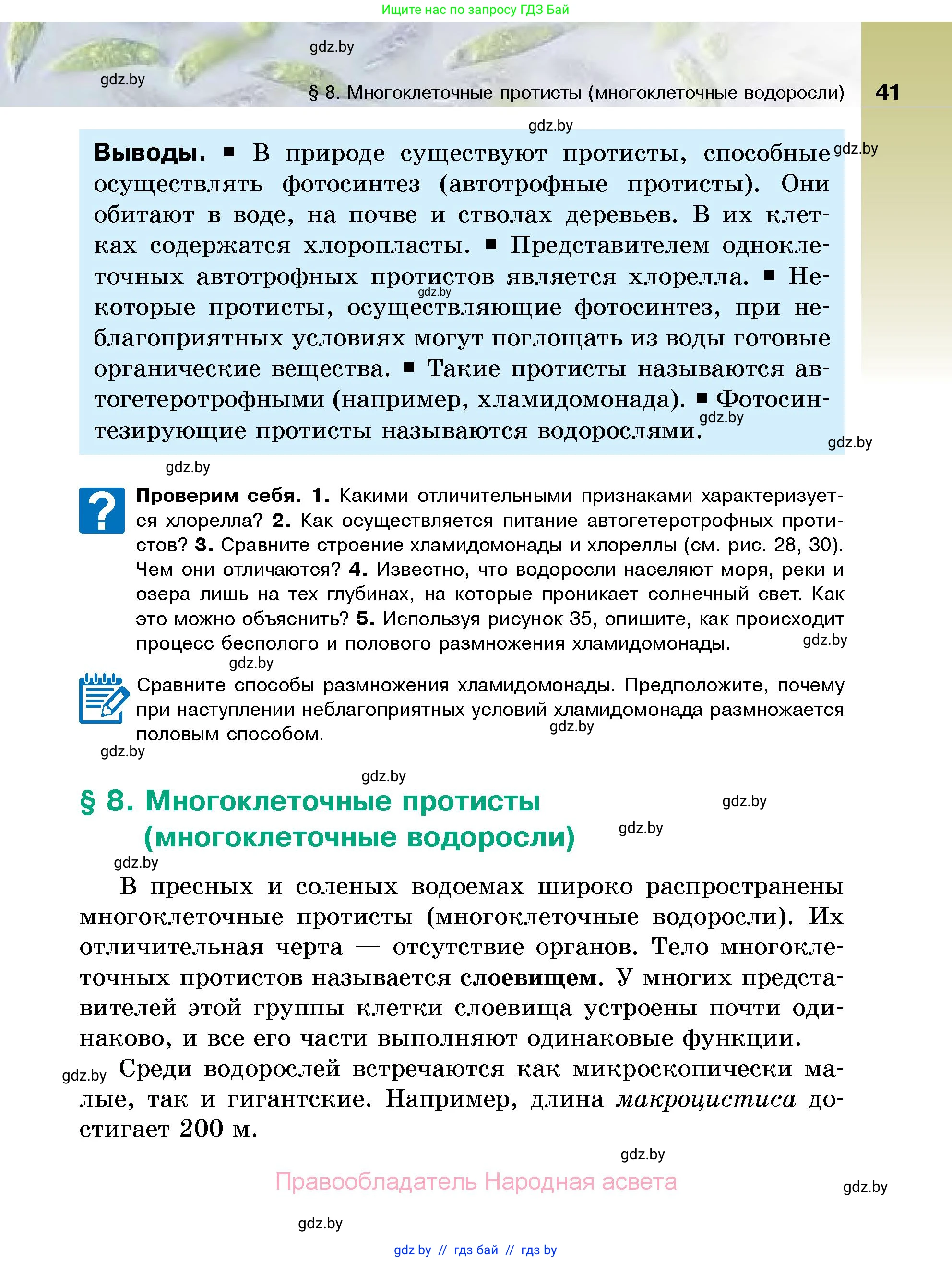 Биология, 7 класс Учебник, автор: Лисов Николай Дмитриевич, издательство Народная асвета, Минск, 2022, зелёного цвета, страница 41