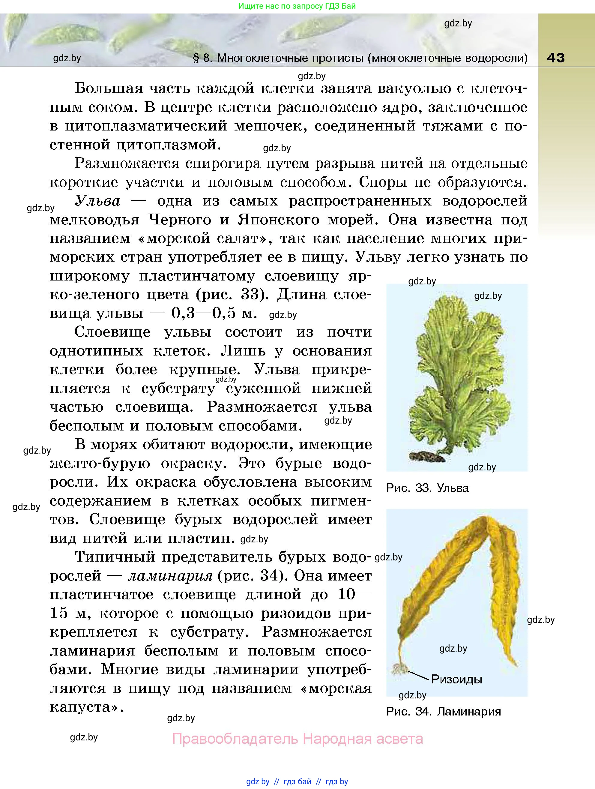 Биология, 7 класс Учебник, автор: Лисов Николай Дмитриевич, издательство Народная асвета, Минск, 2022, зелёного цвета, страница 43