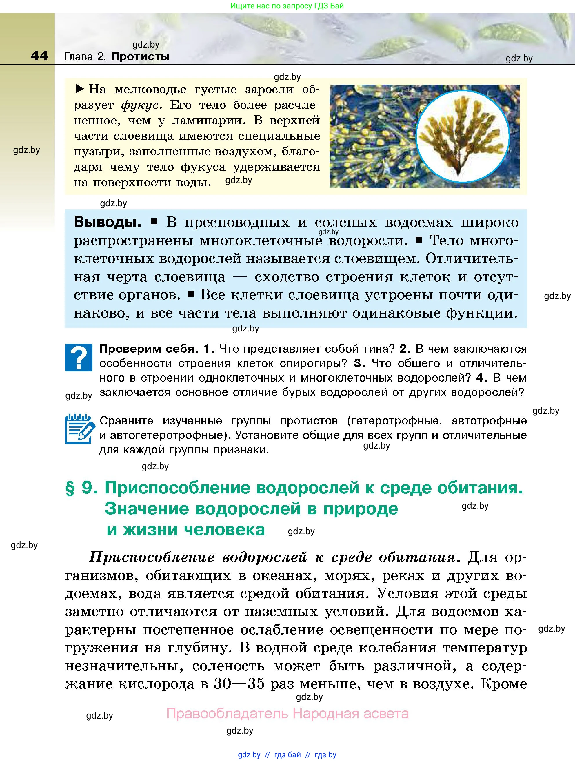Биология, 7 класс Учебник, автор: Лисов Николай Дмитриевич, издательство Народная асвета, Минск, 2022, зелёного цвета, страница 44